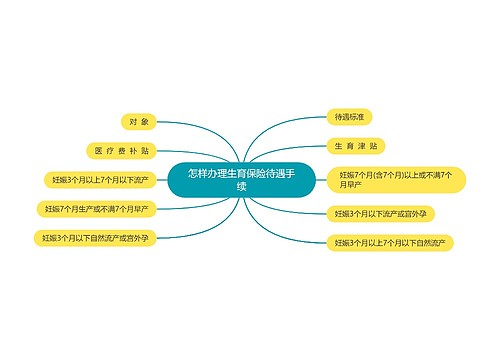 怎样办理生育保险待遇手续