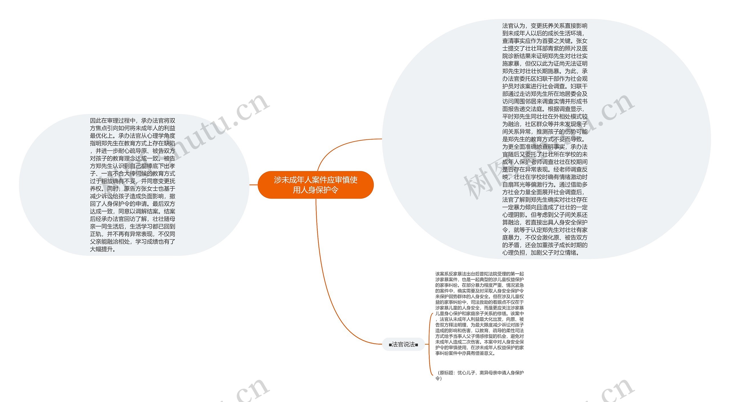 涉未成年人案件应审慎使用人身保护令思维导图