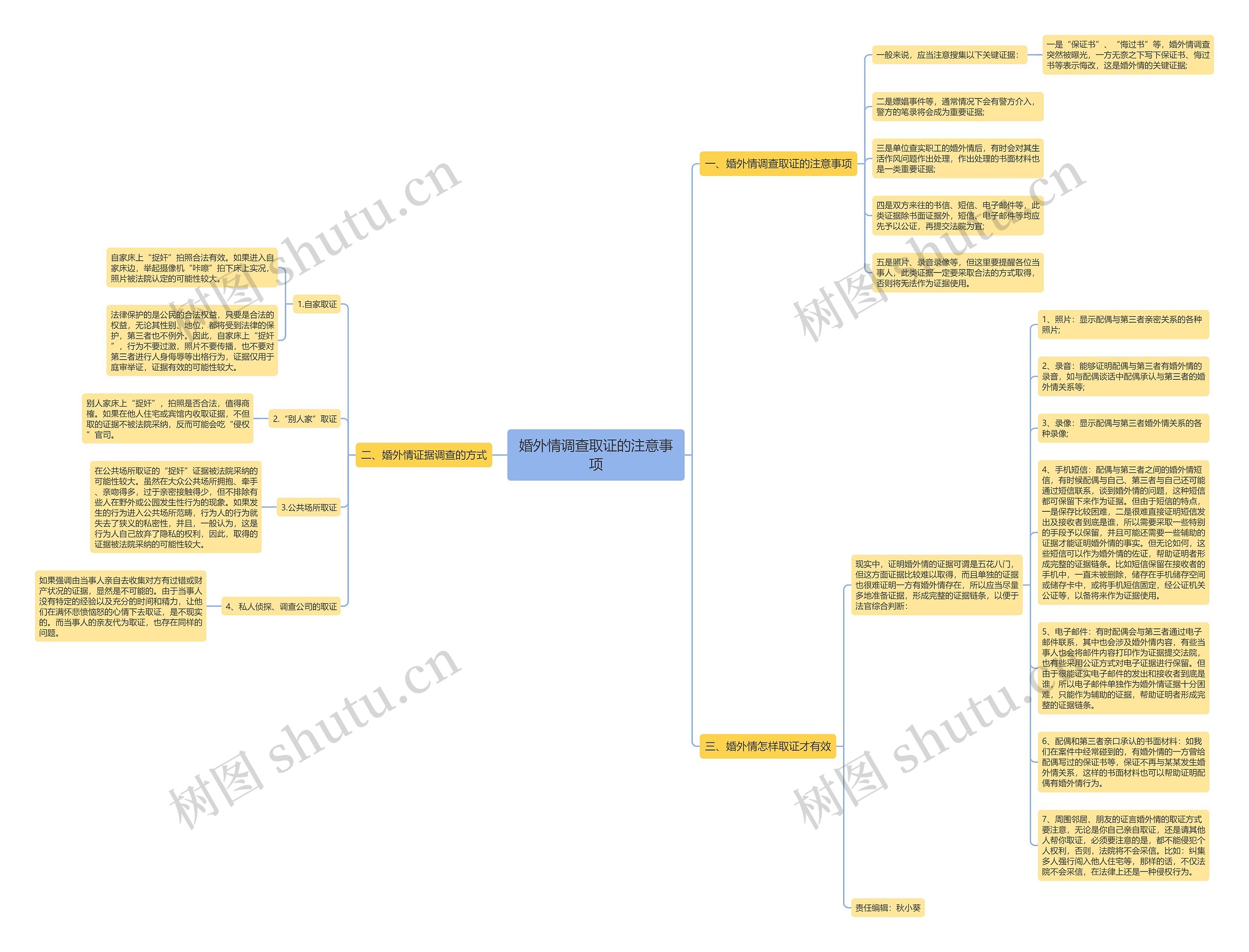 婚外情调查取证的注意事项思维导图