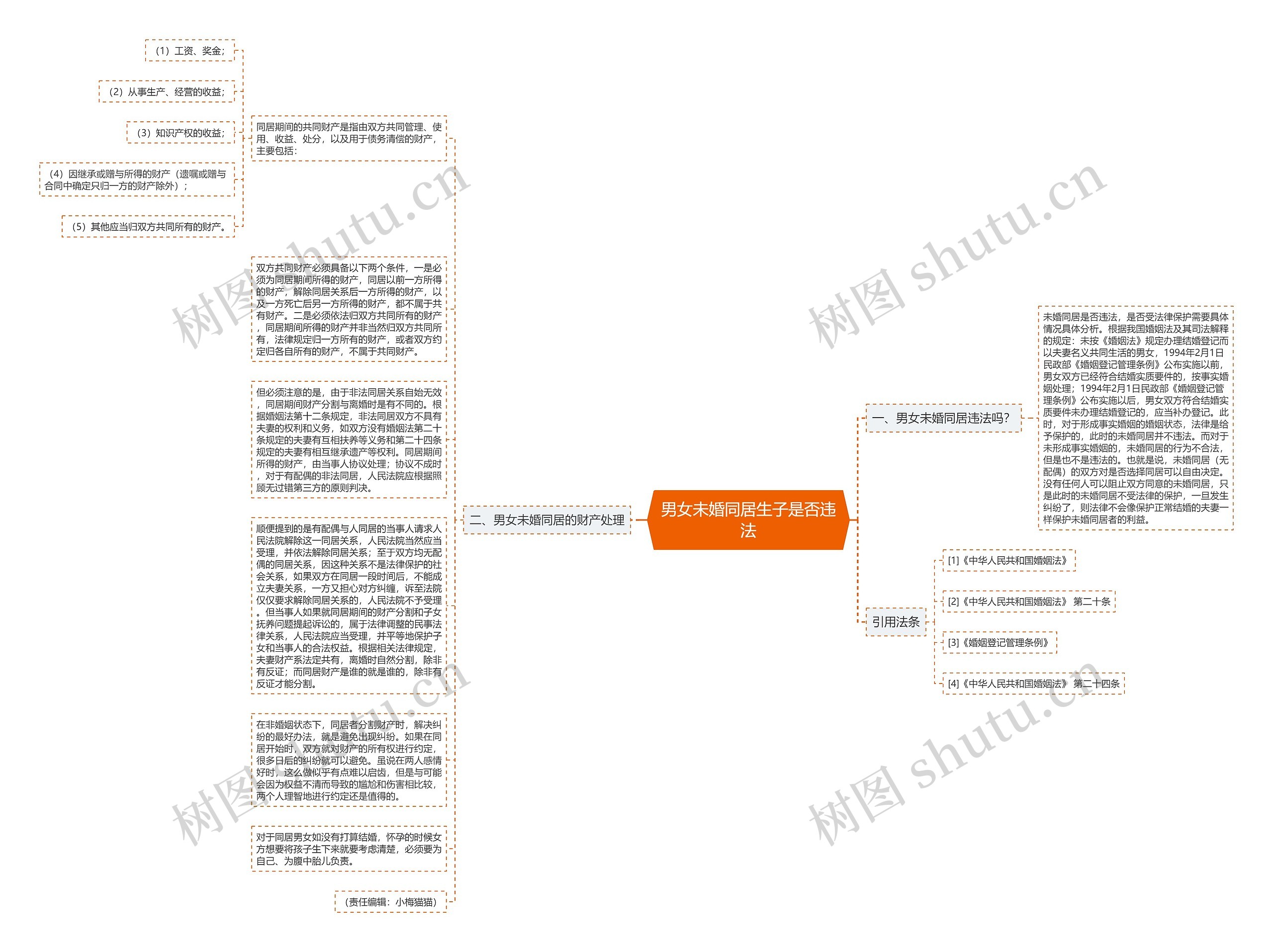 男女未婚同居生子是否违法思维导图