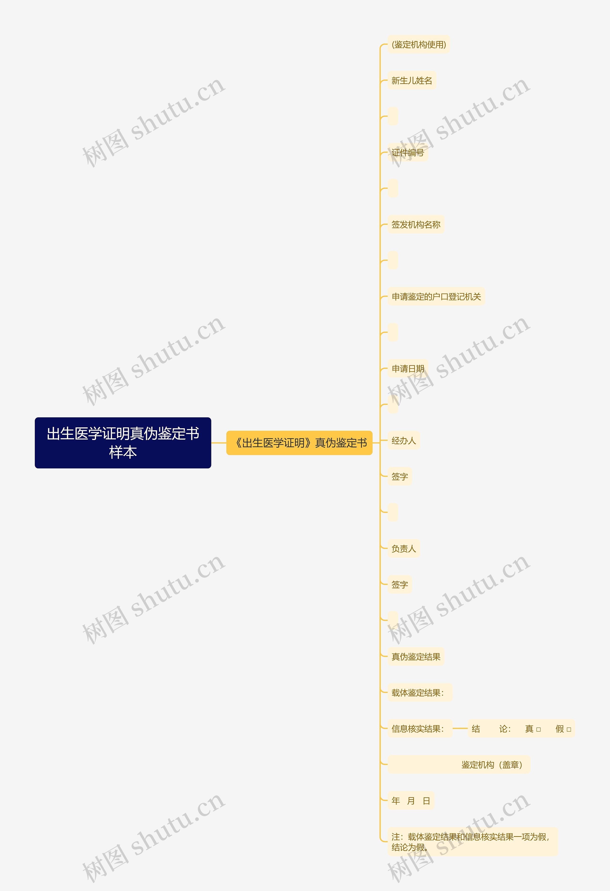 出生医学证明真伪鉴定书样本