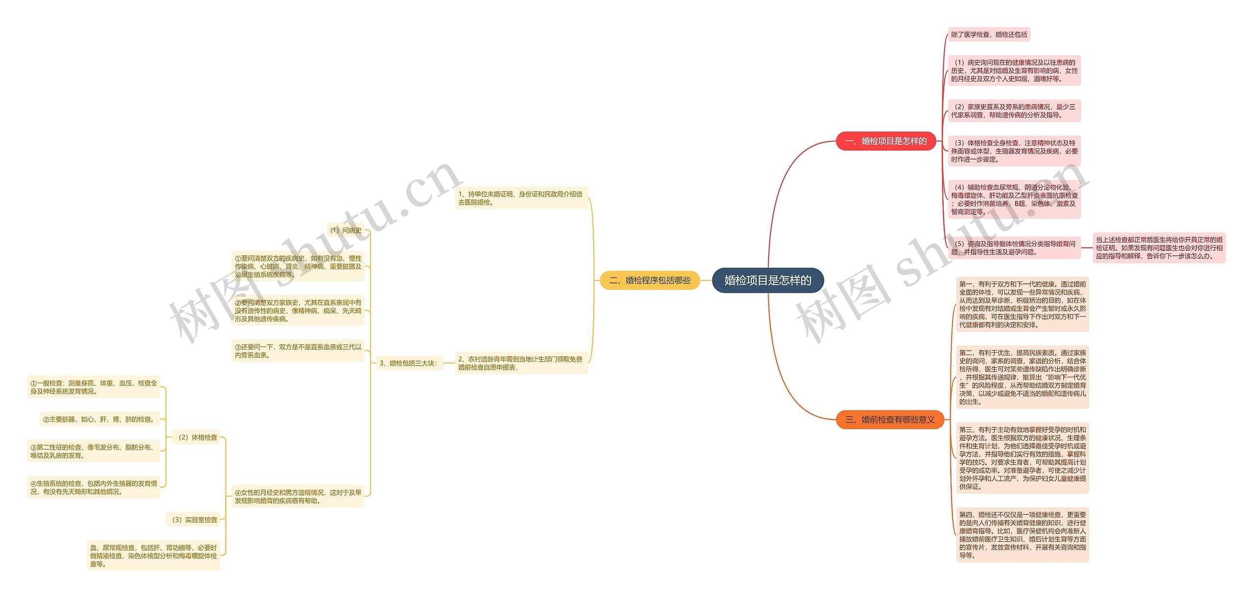 婚检项目是怎样的思维导图