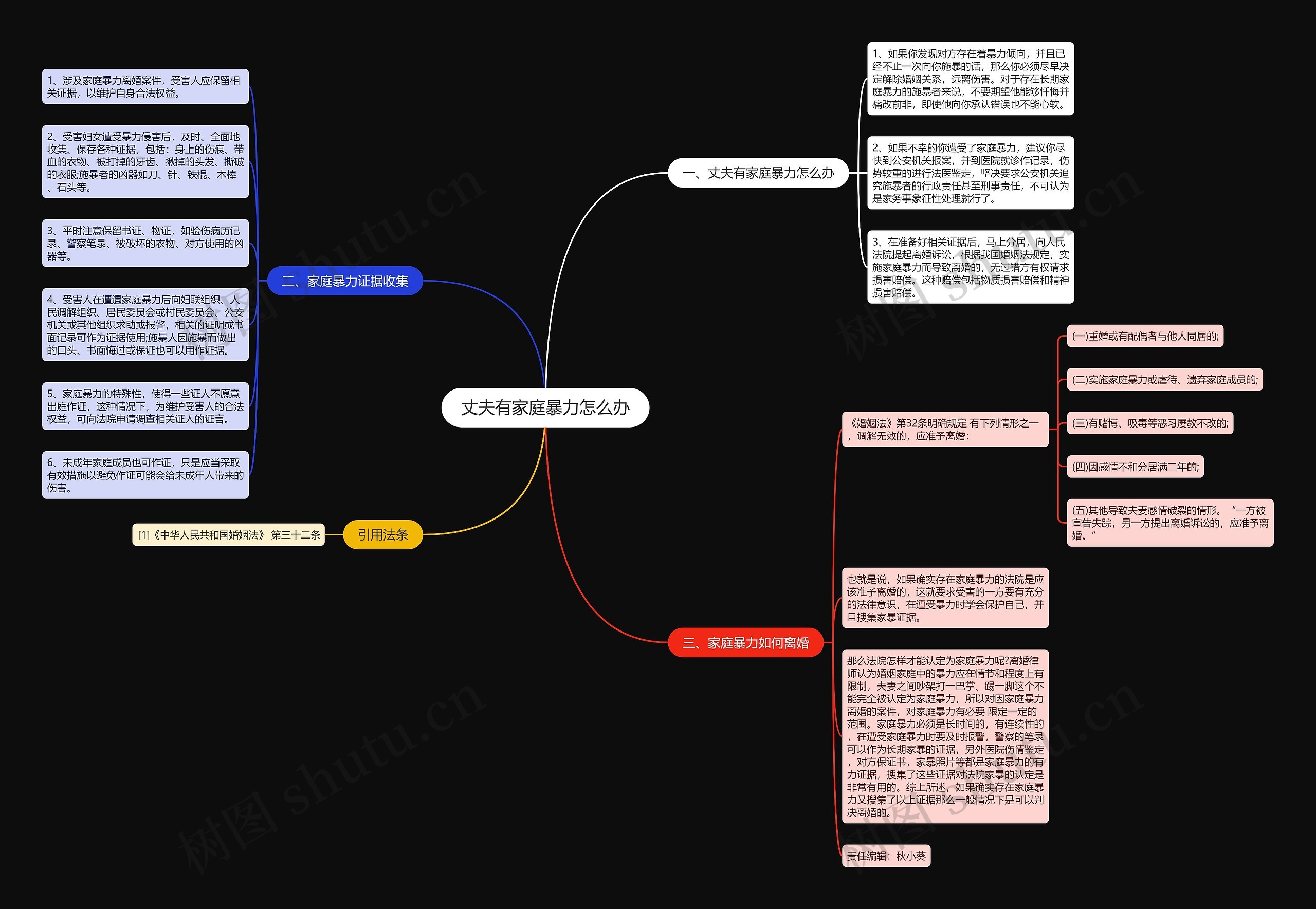 丈夫有家庭暴力怎么办思维导图
