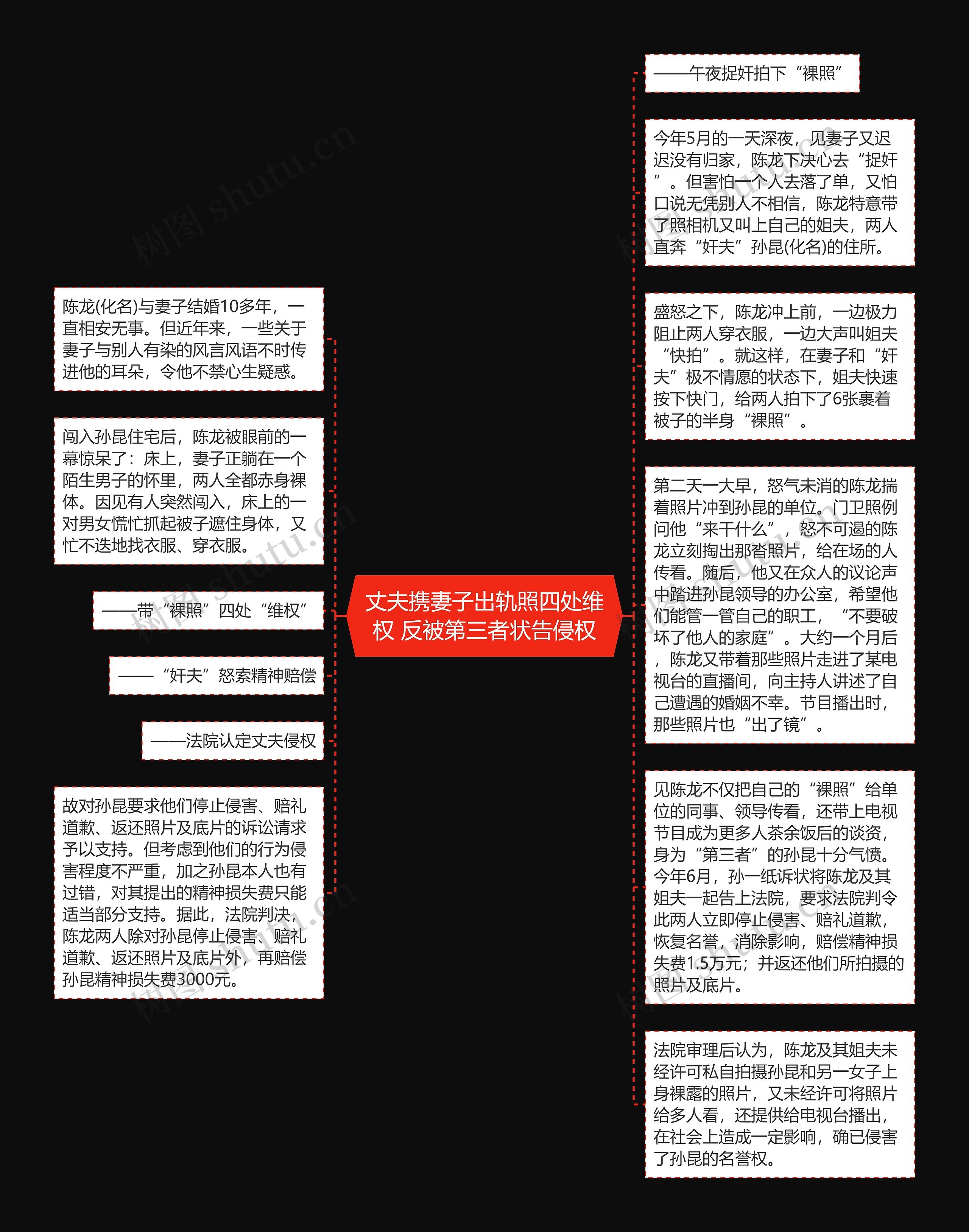 丈夫携妻子出轨照四处维权 反被第三者状告侵权思维导图