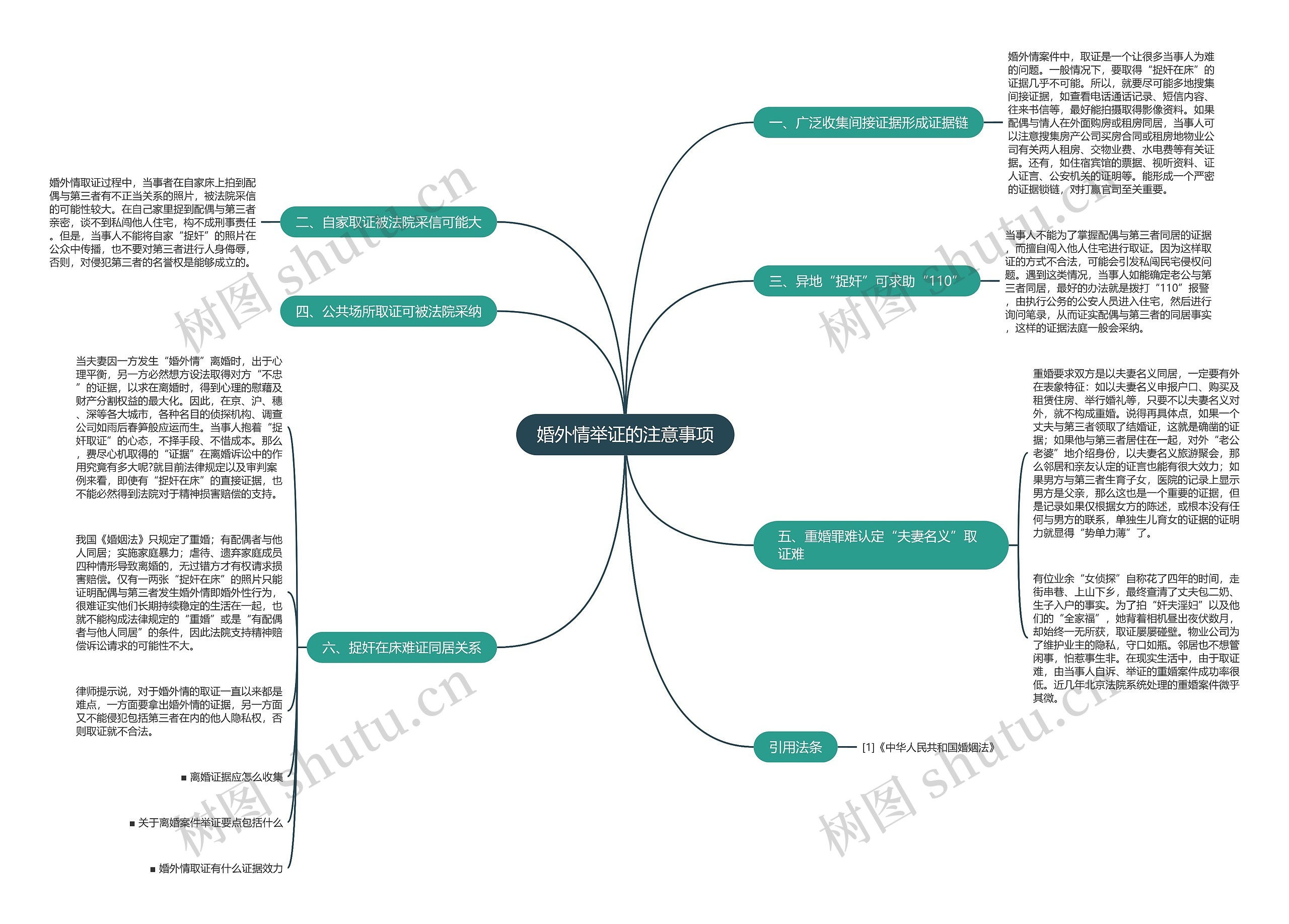 婚外情举证的注意事项思维导图