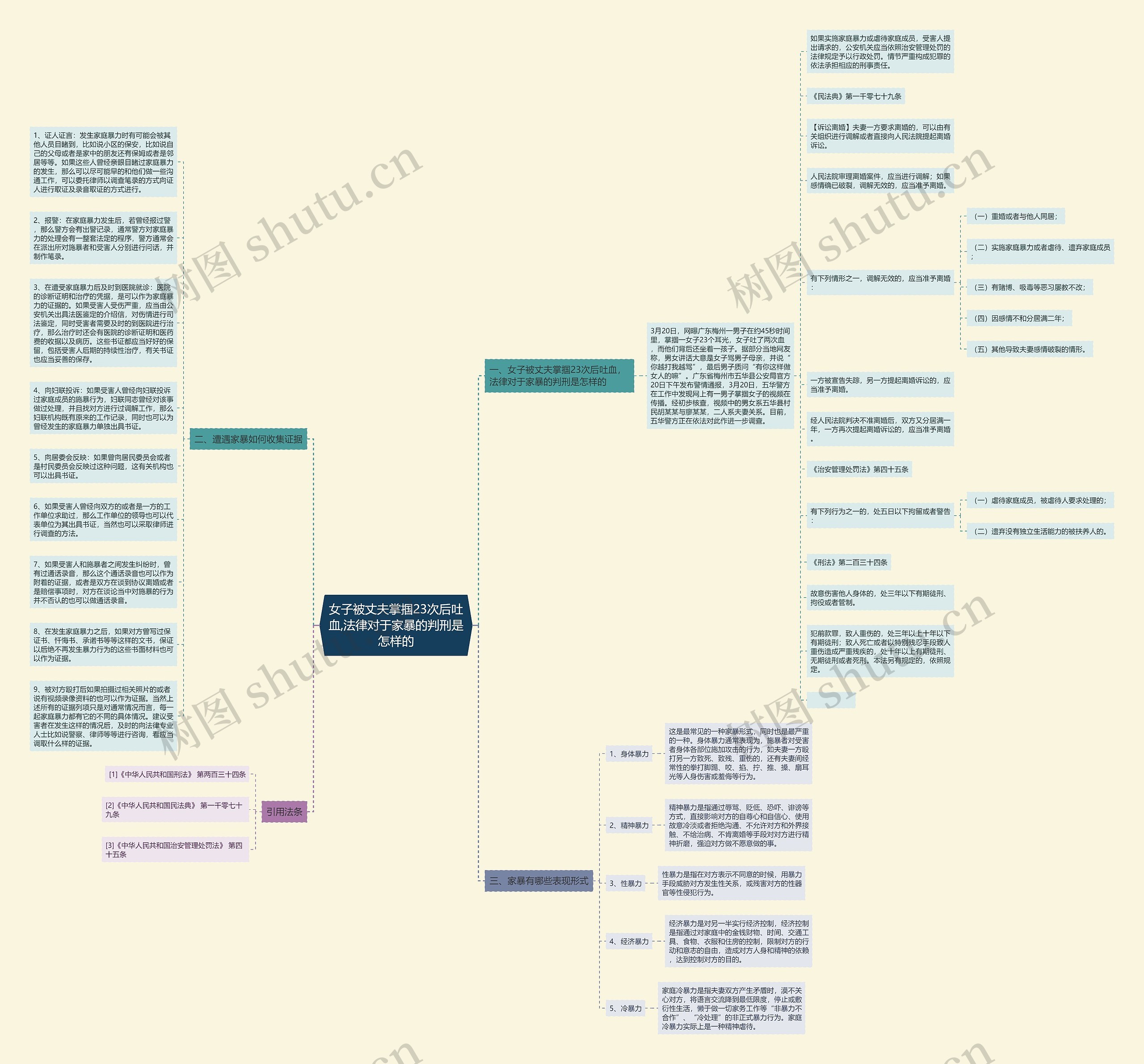 女子被丈夫掌掴23次后吐血,法律对于家暴的判刑是怎样的思维导图