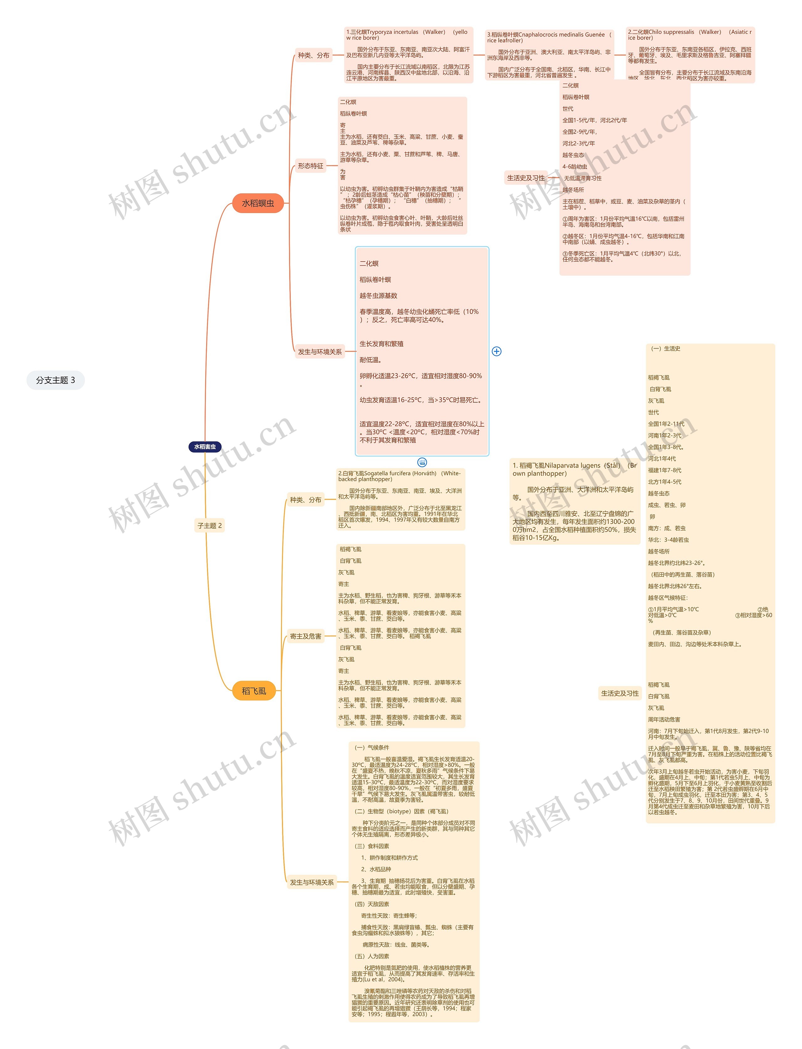水稻害虫思维导图