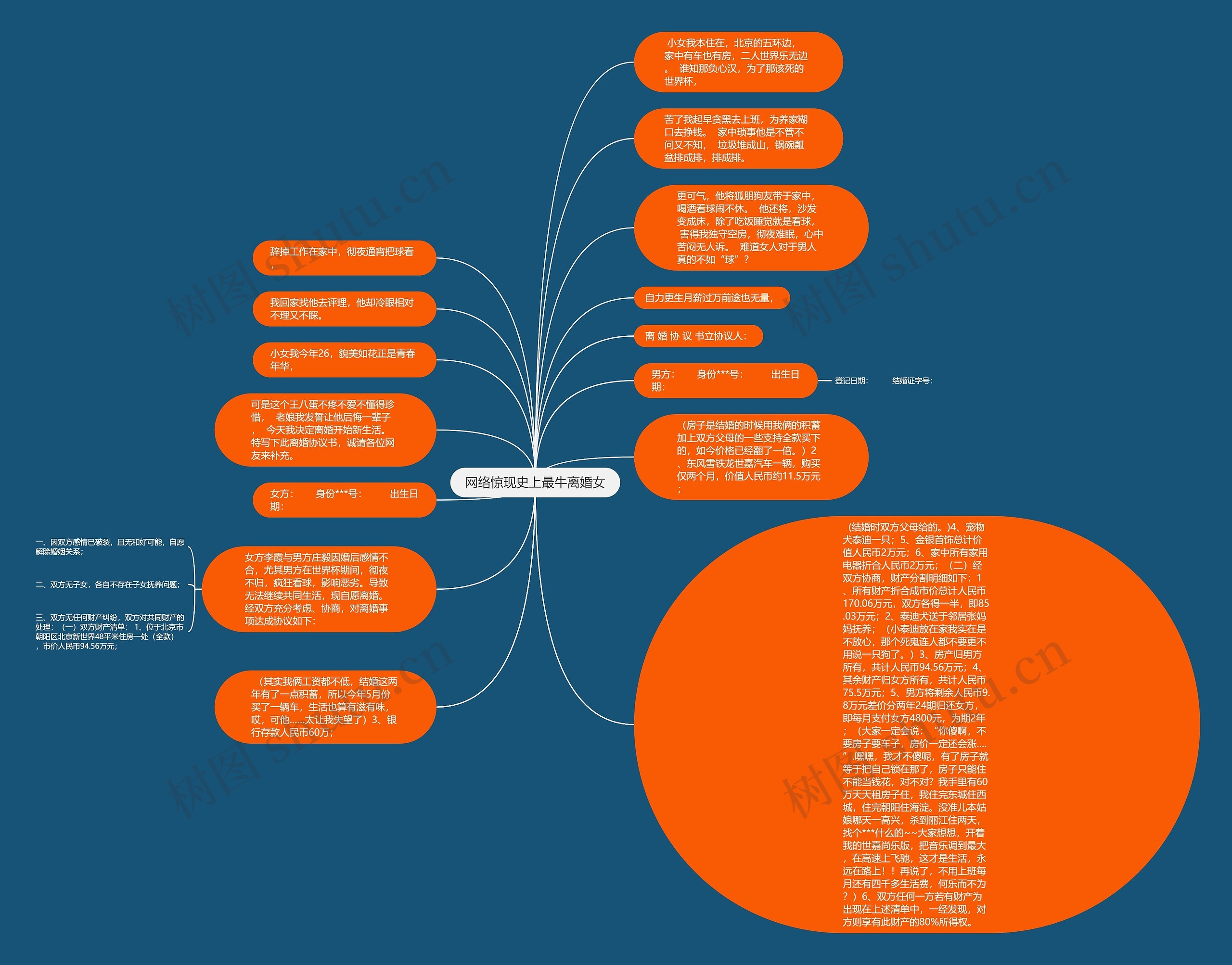 网络惊现史上最牛离婚女思维导图