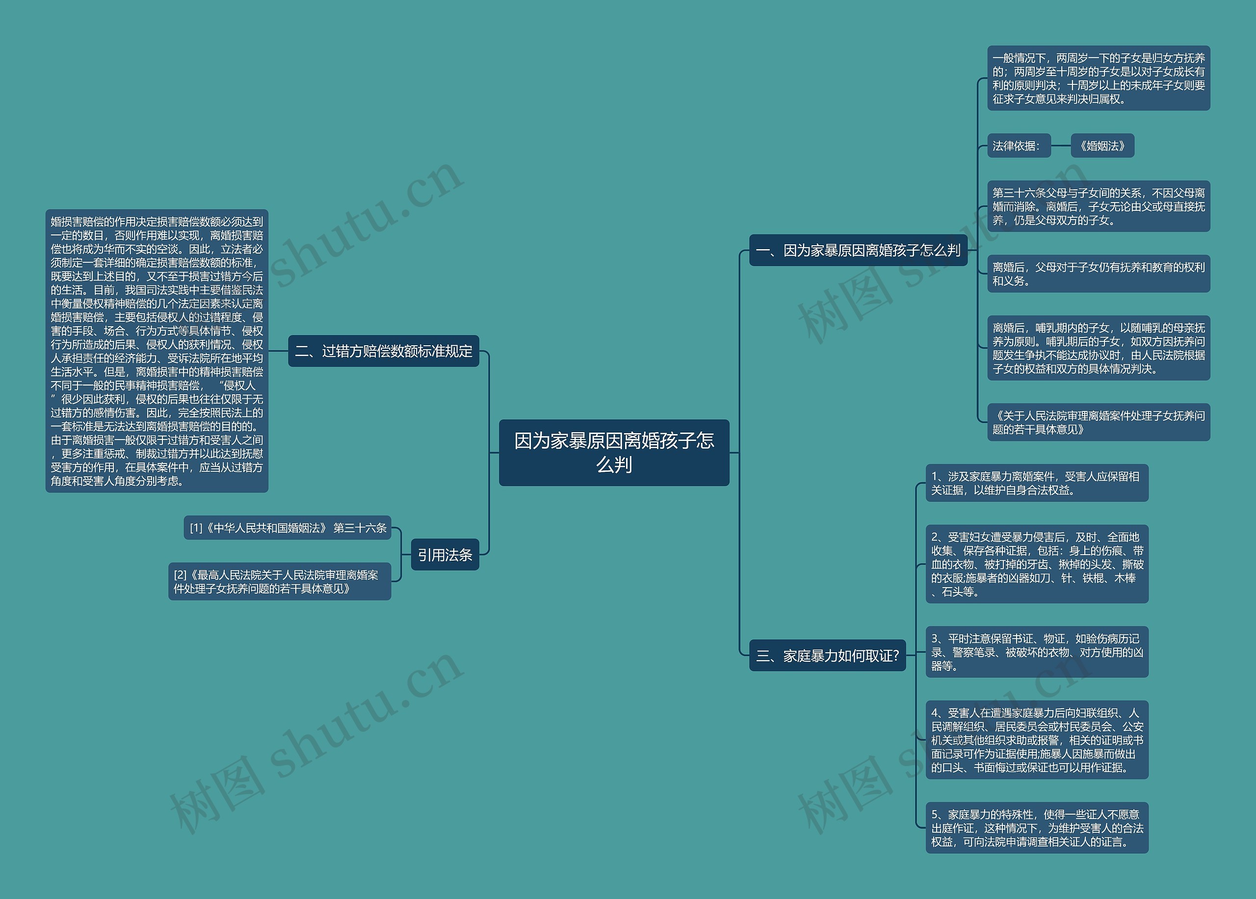 因为家暴原因离婚孩子怎么判思维导图