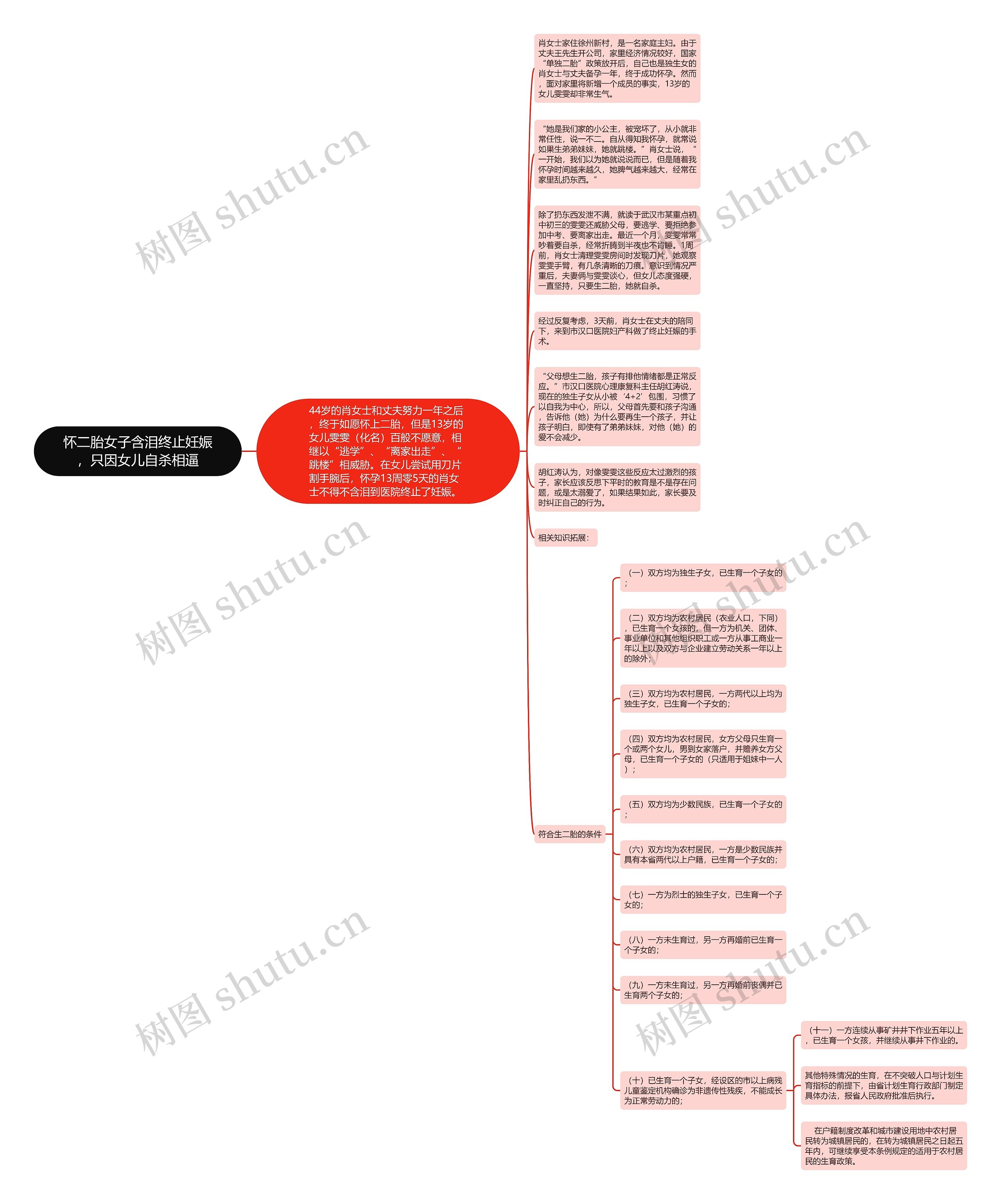 怀二胎女子含泪终止妊娠，只因女儿自杀相逼思维导图