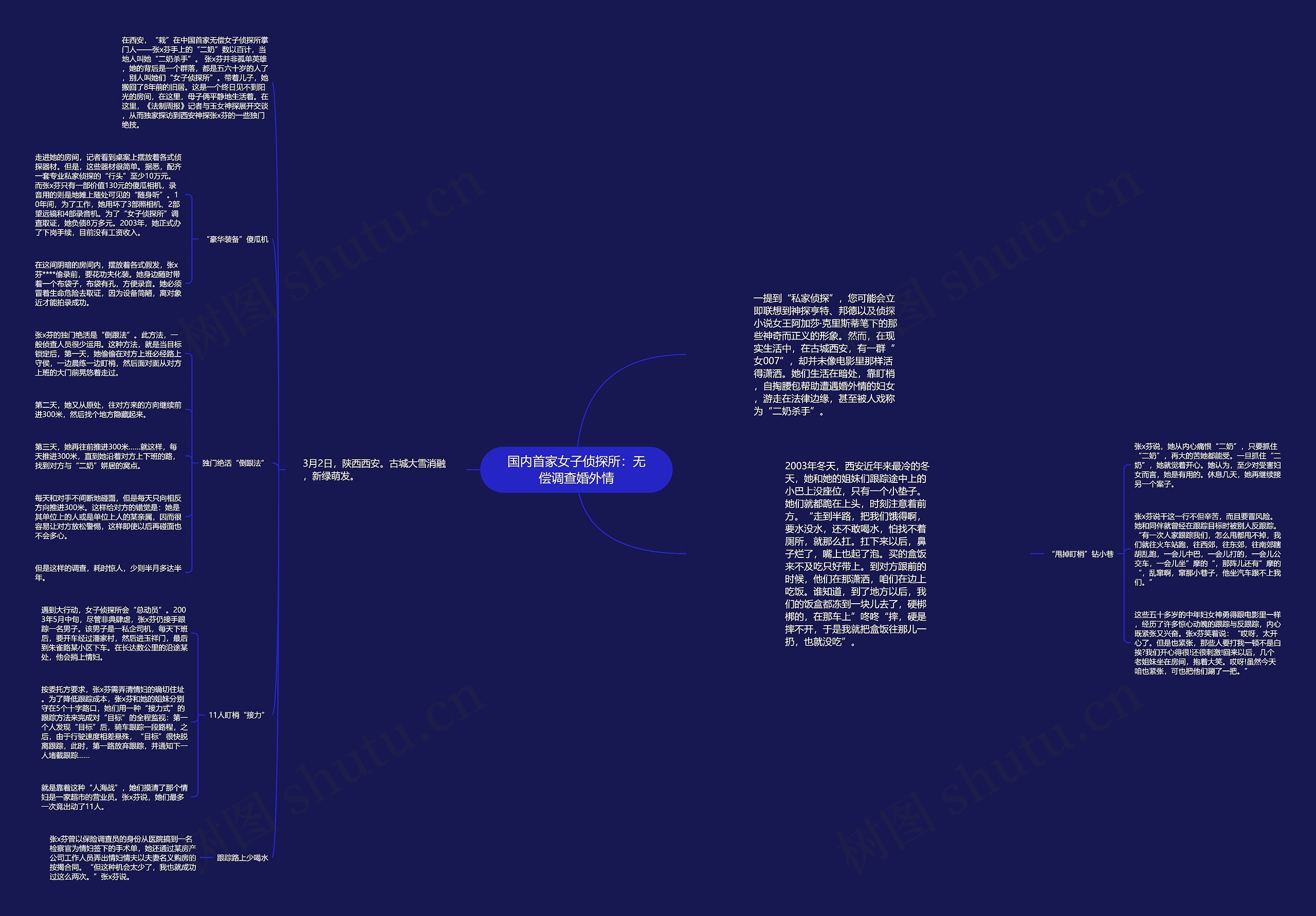 国内首家女子侦探所：无偿调查婚外情思维导图