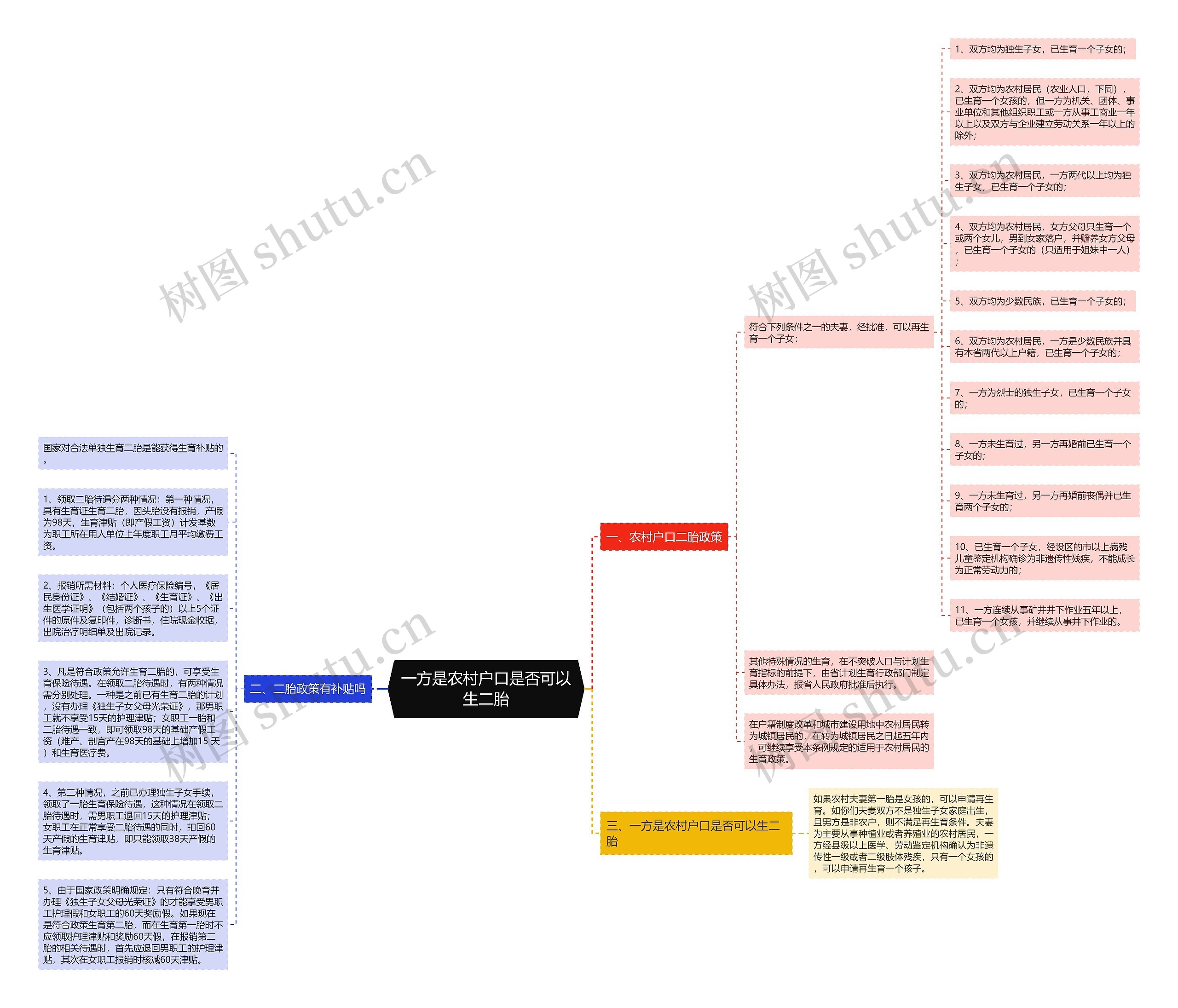 一方是农村户口是否可以生二胎思维导图