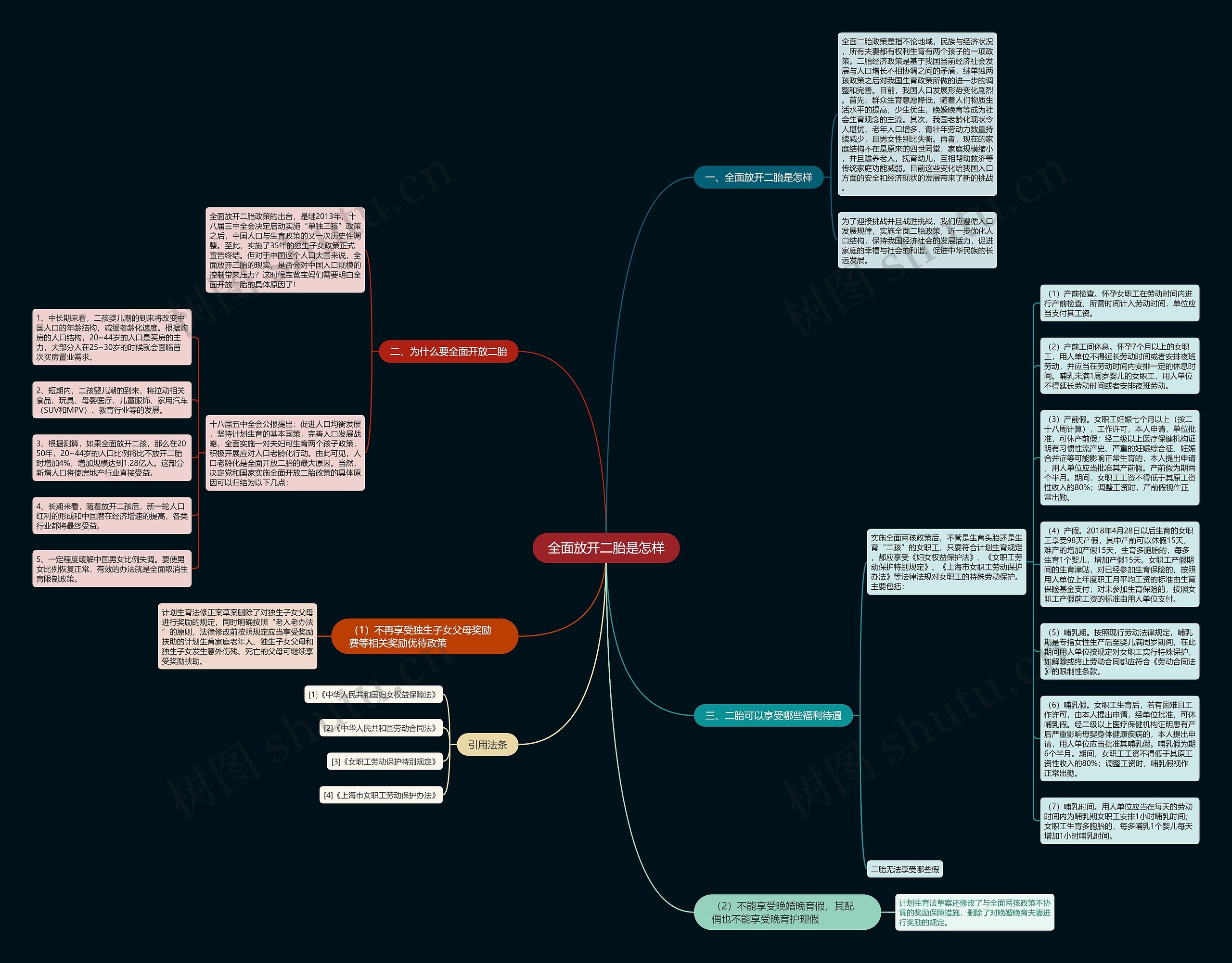 全面放开二胎是怎样思维导图