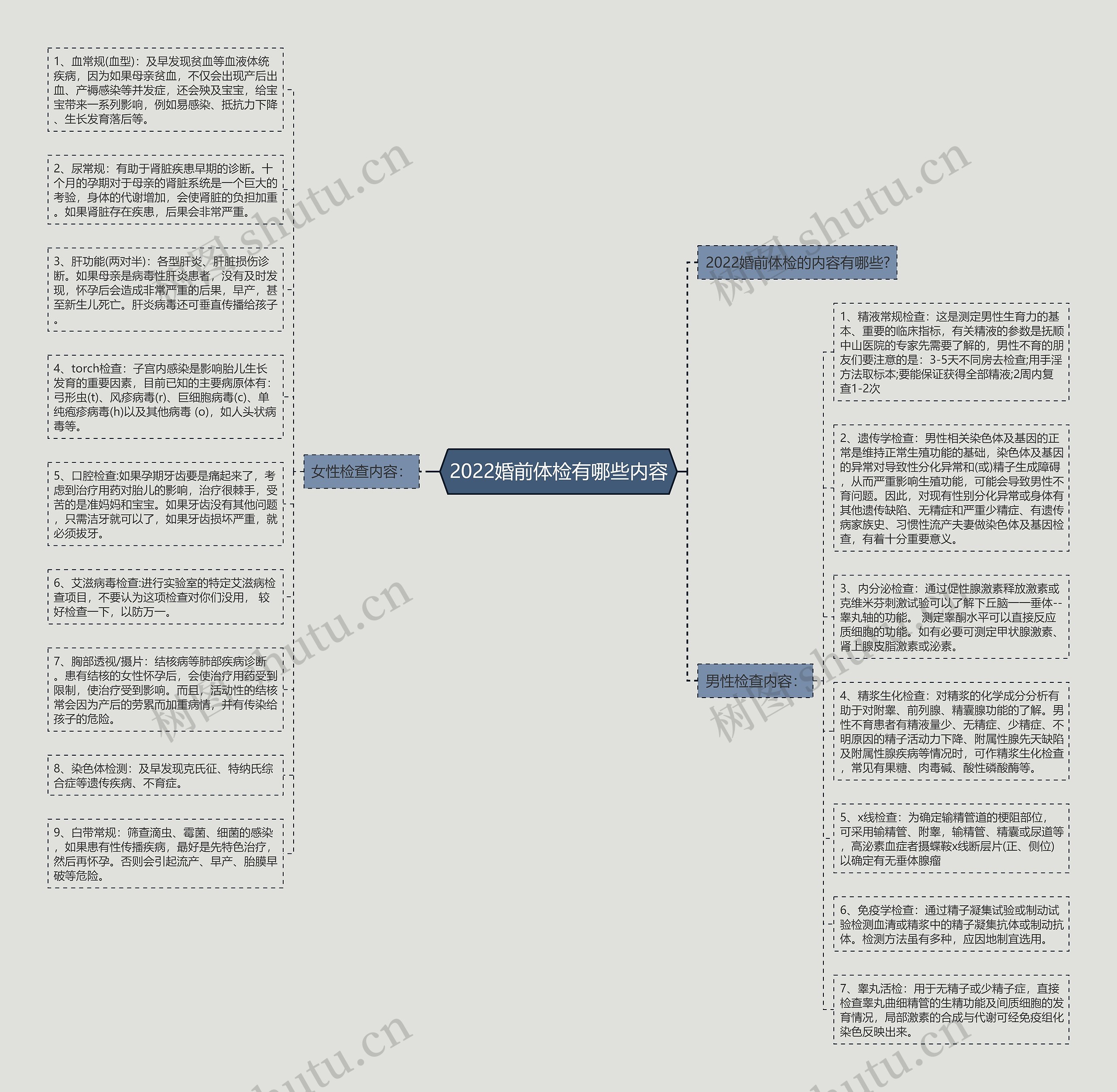 2022婚前体检有哪些内容思维导图