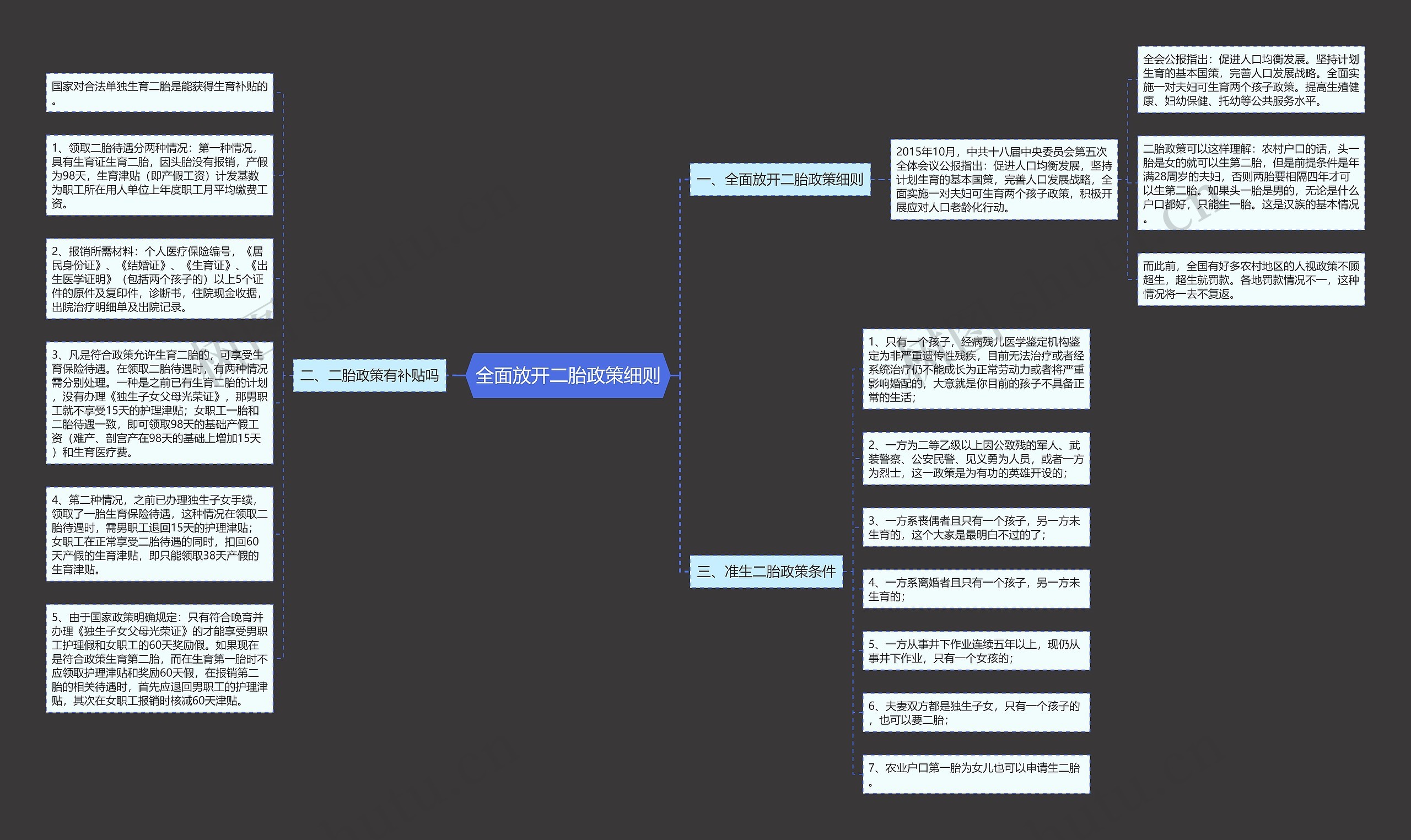 全面放开二胎政策细则思维导图