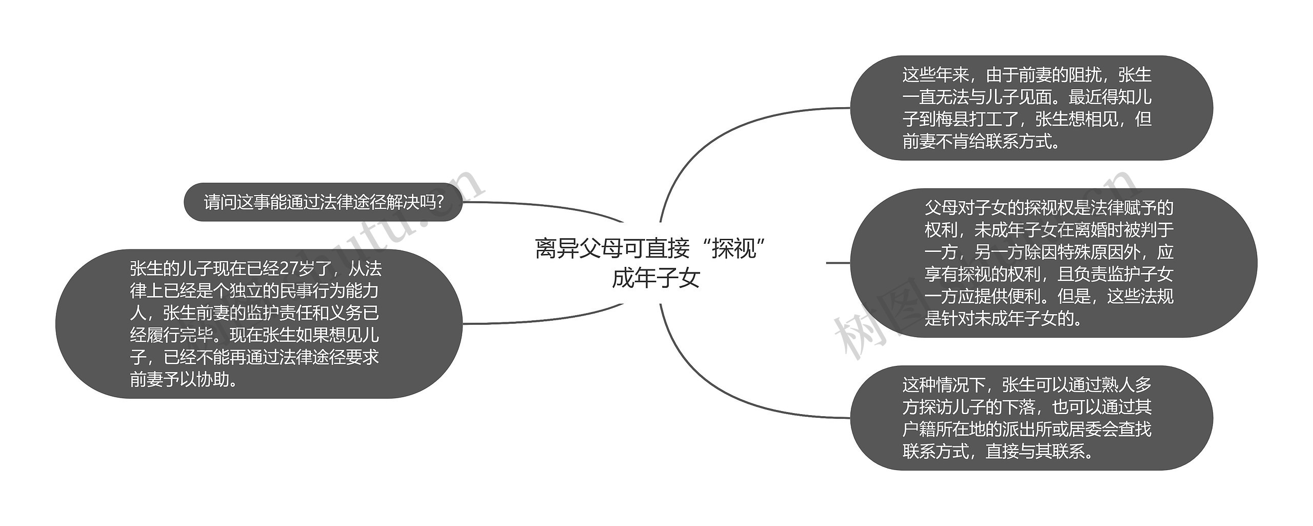 离异父母可直接“探视”成年子女思维导图