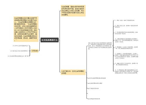 社会抚养费是什么