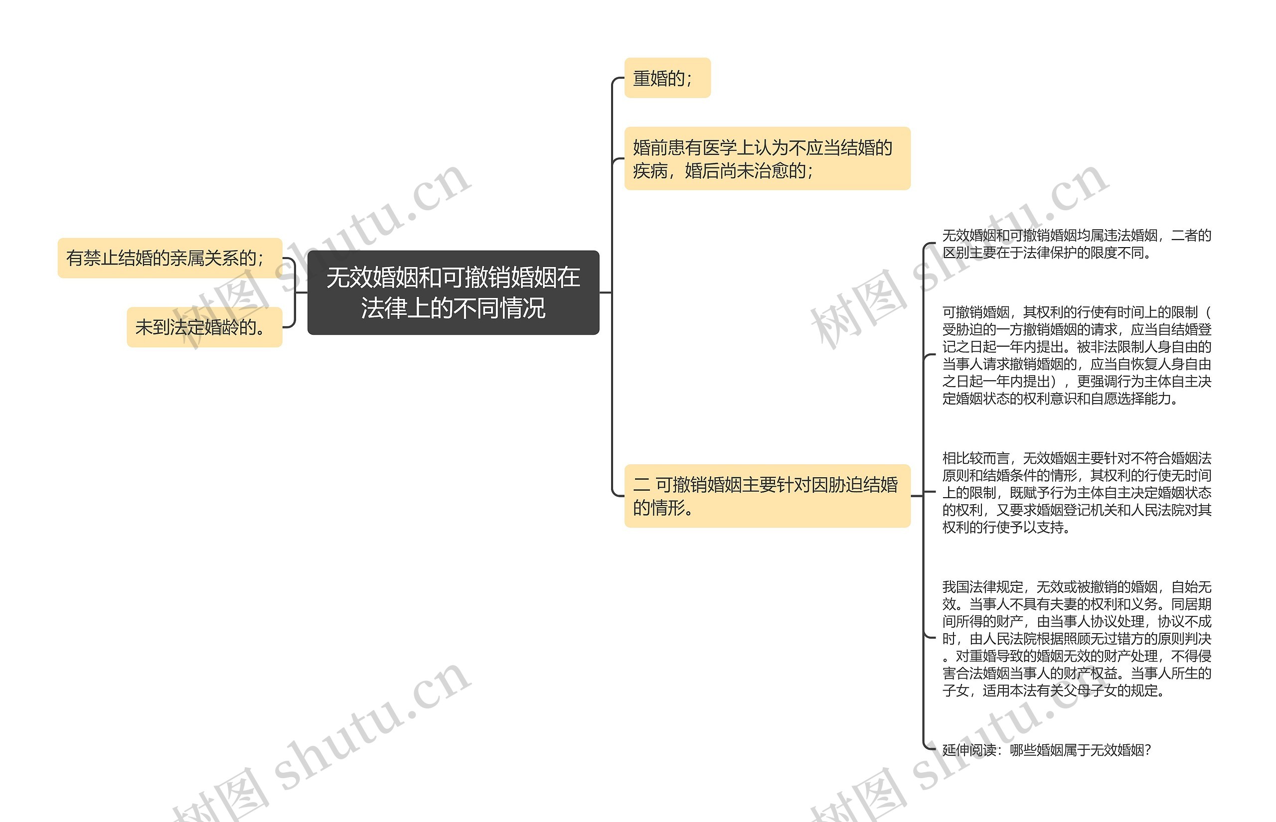无效婚姻和可撤销婚姻在法律上的不同情况思维导图