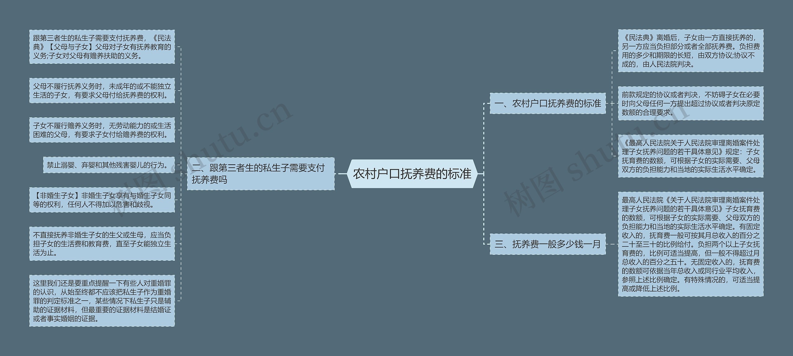 农村户口抚养费的标准思维导图