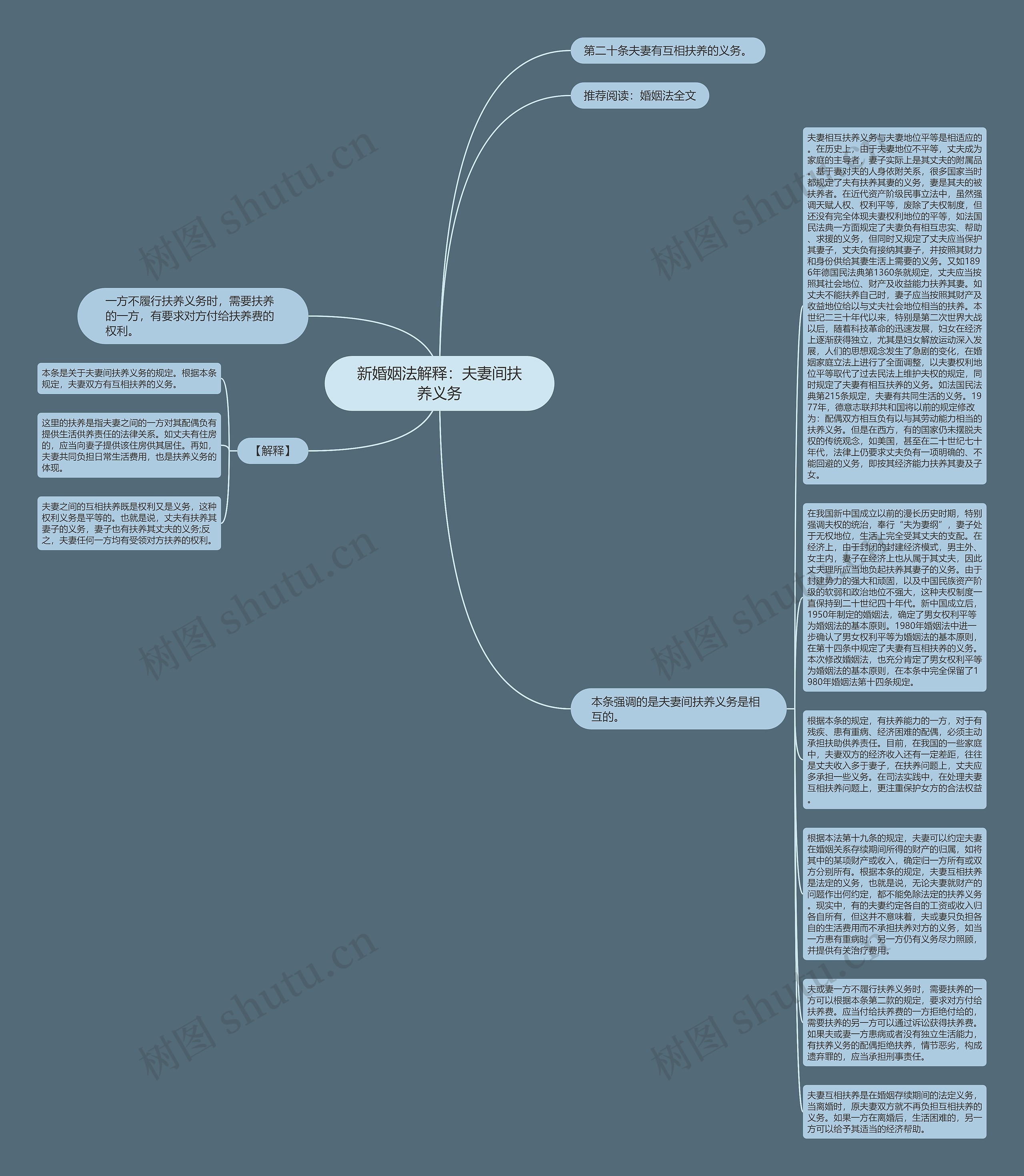新婚姻法解释：夫妻间扶养义务思维导图