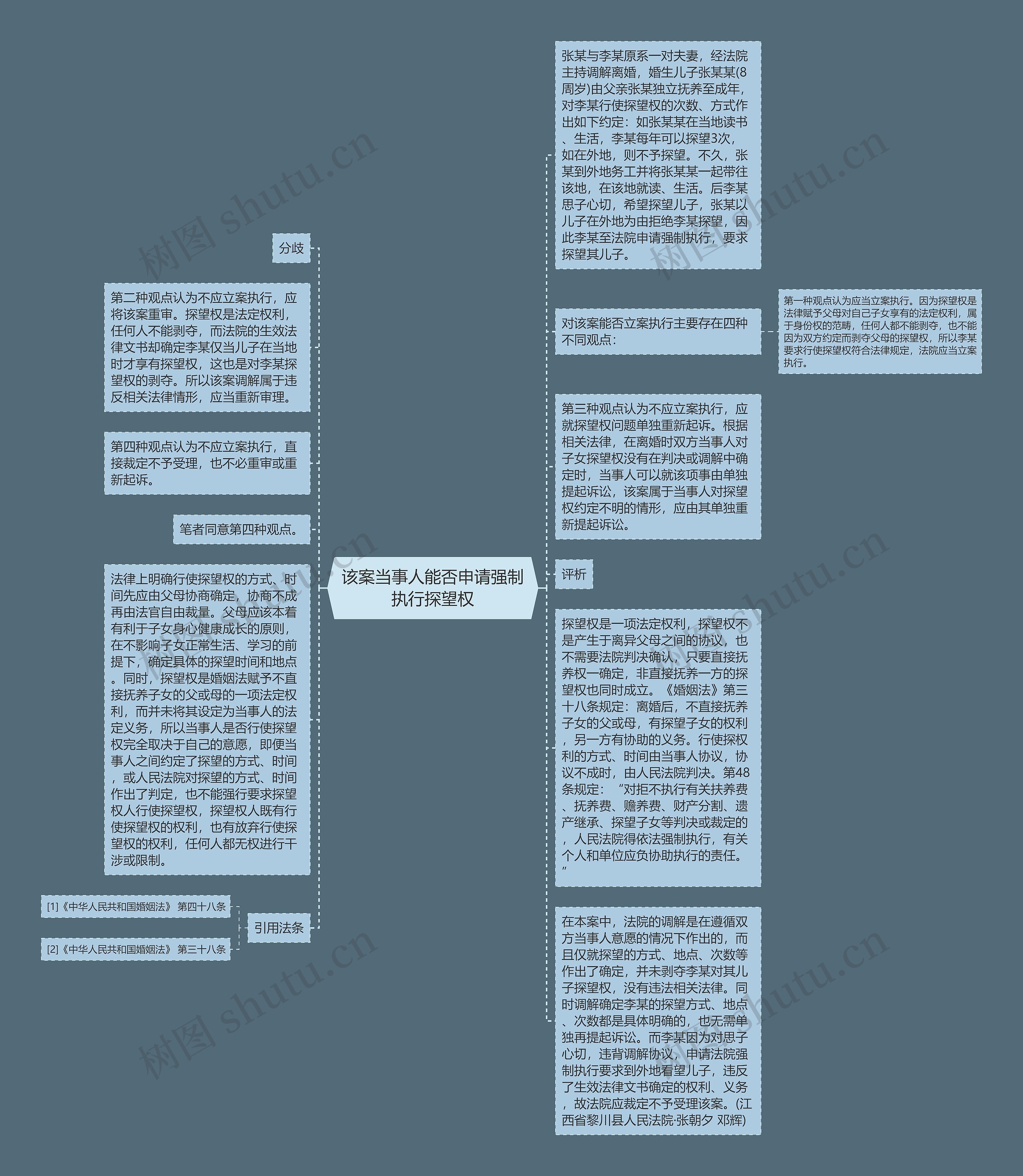 该案当事人能否申请强制执行探望权