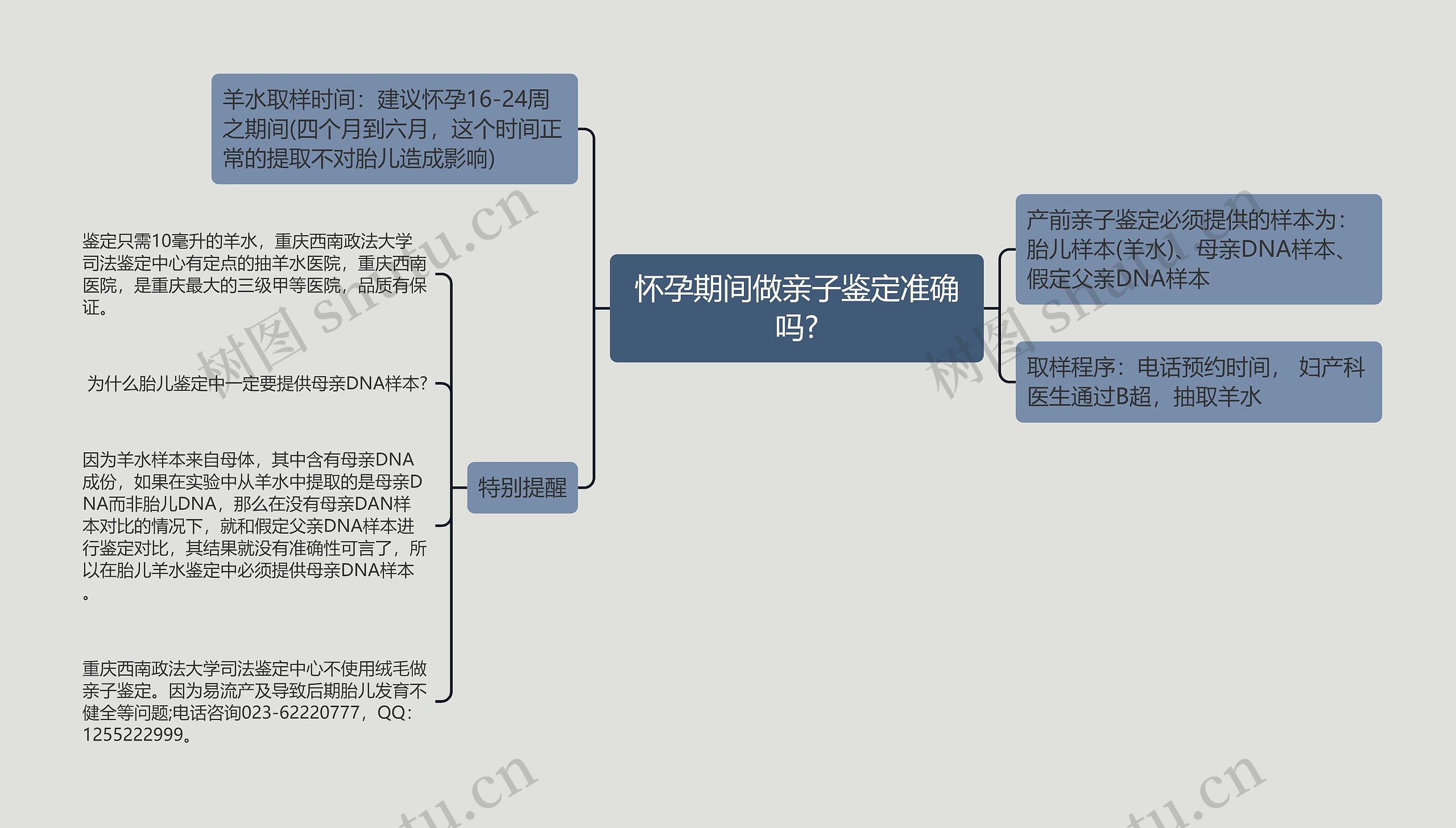 怀孕期间做亲子鉴定准确吗?思维导图