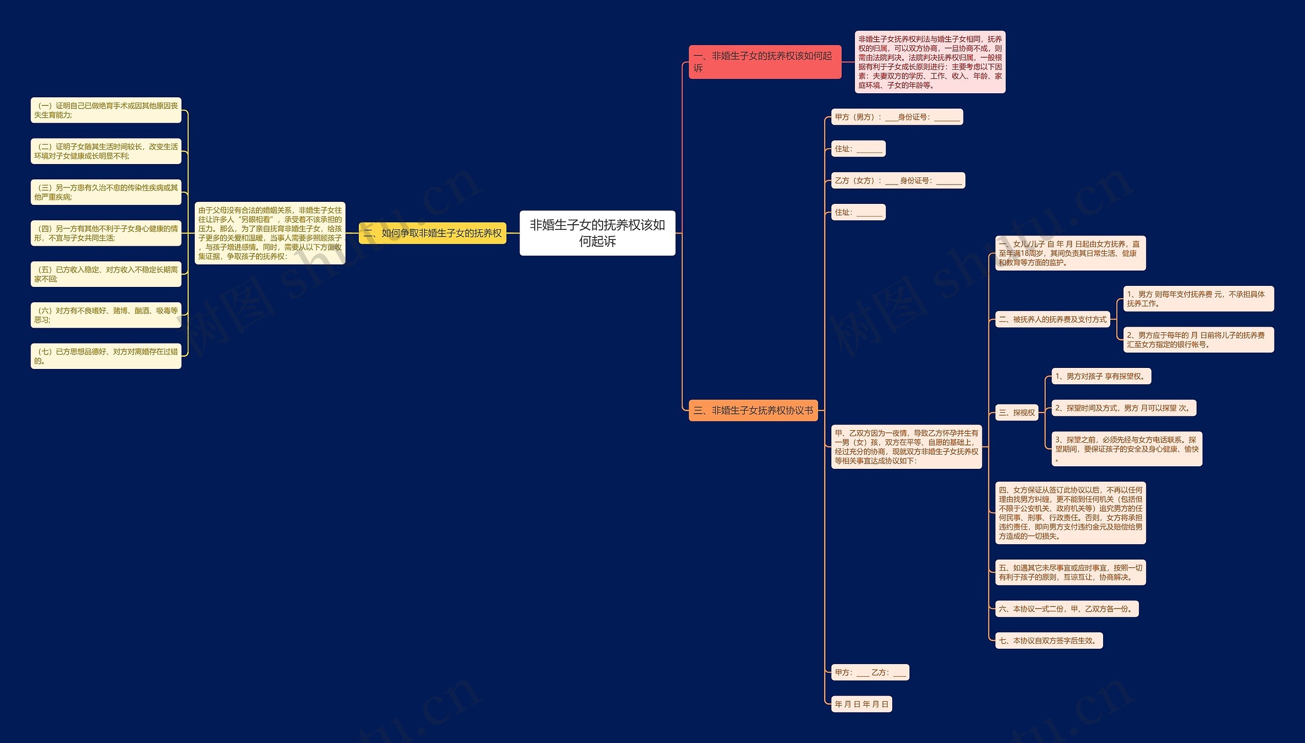 非婚生子女的抚养权该如何起诉思维导图