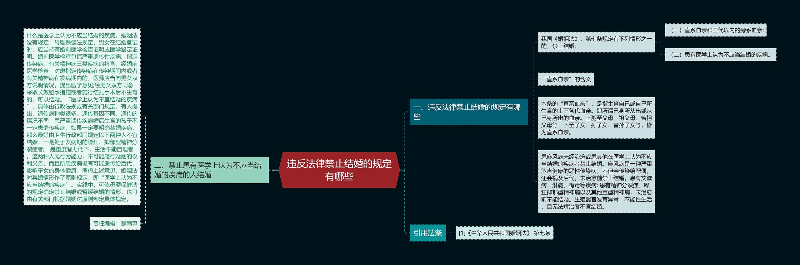 违反法律禁止结婚的规定有哪些思维导图