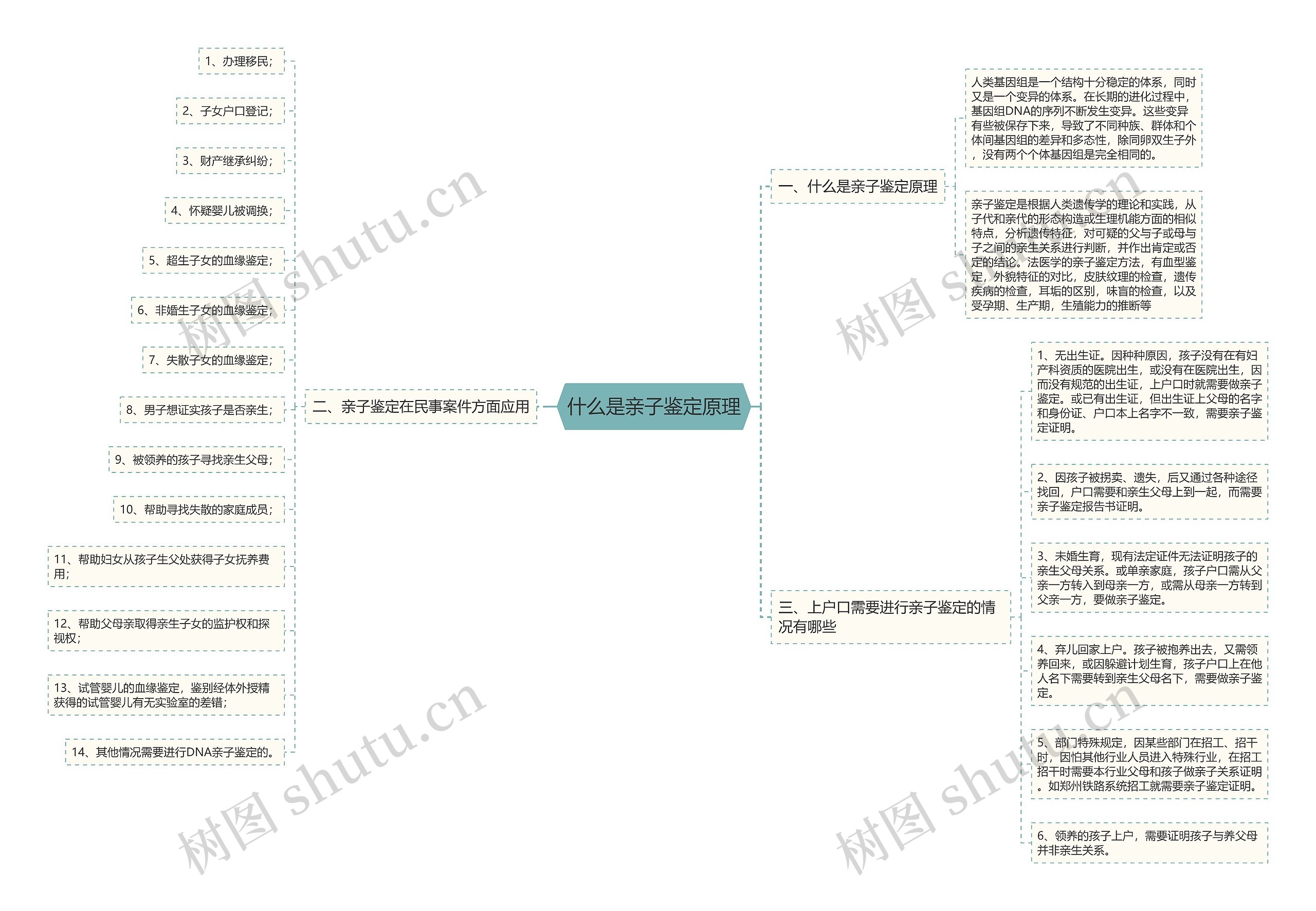 什么是亲子鉴定原理思维导图
