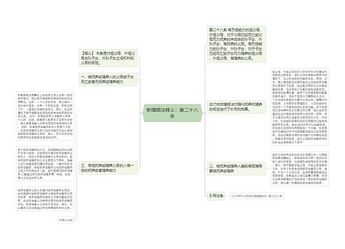 新婚姻法释义：第二十八条