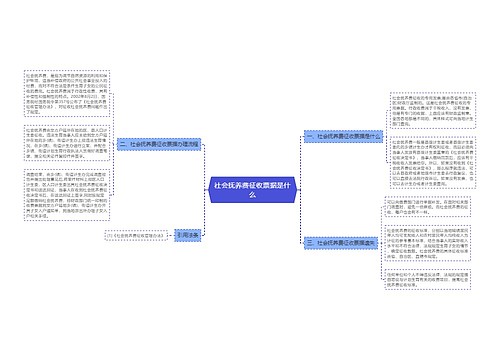 社会抚养费征收票据是什么