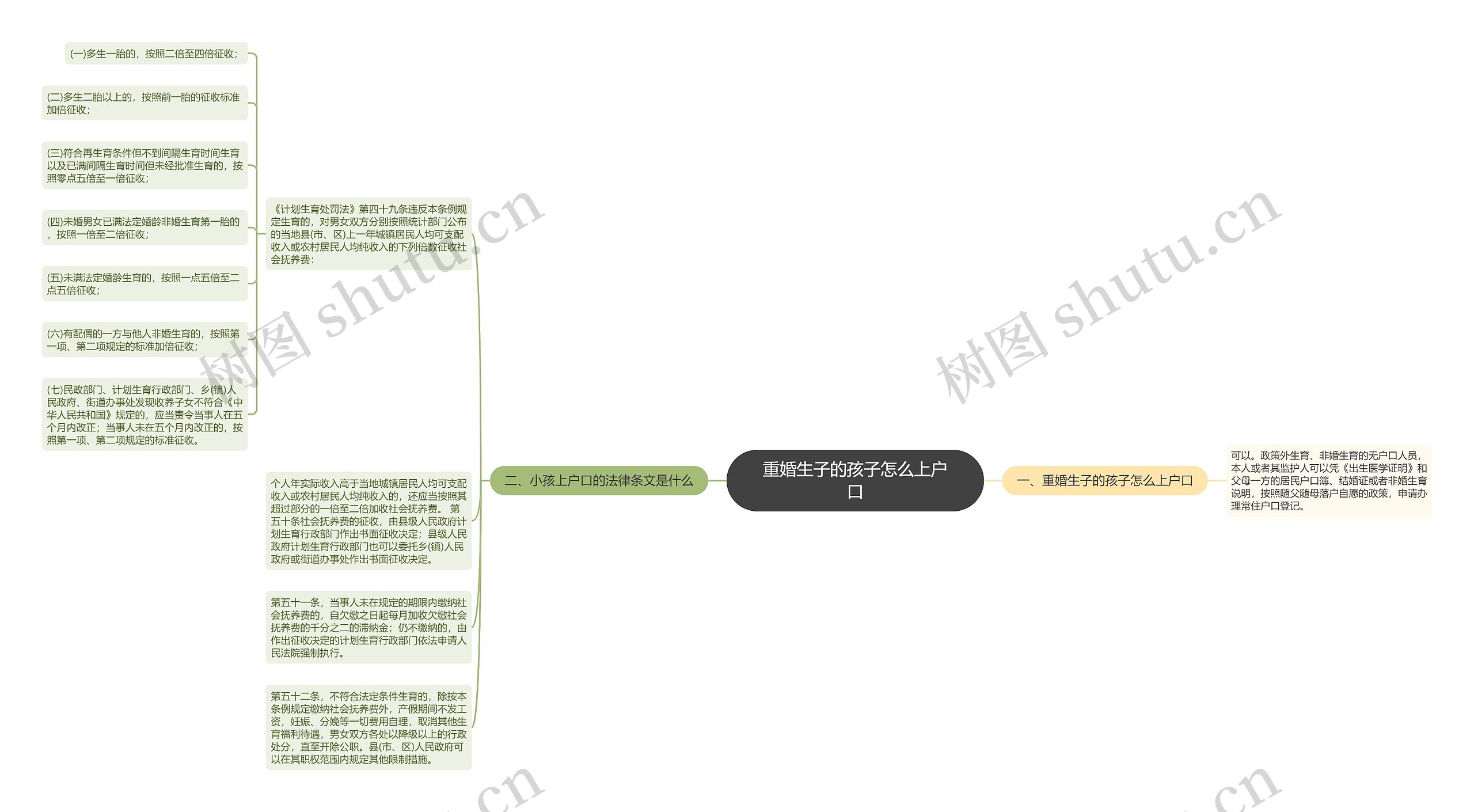 重婚生子的孩子怎么上户口思维导图