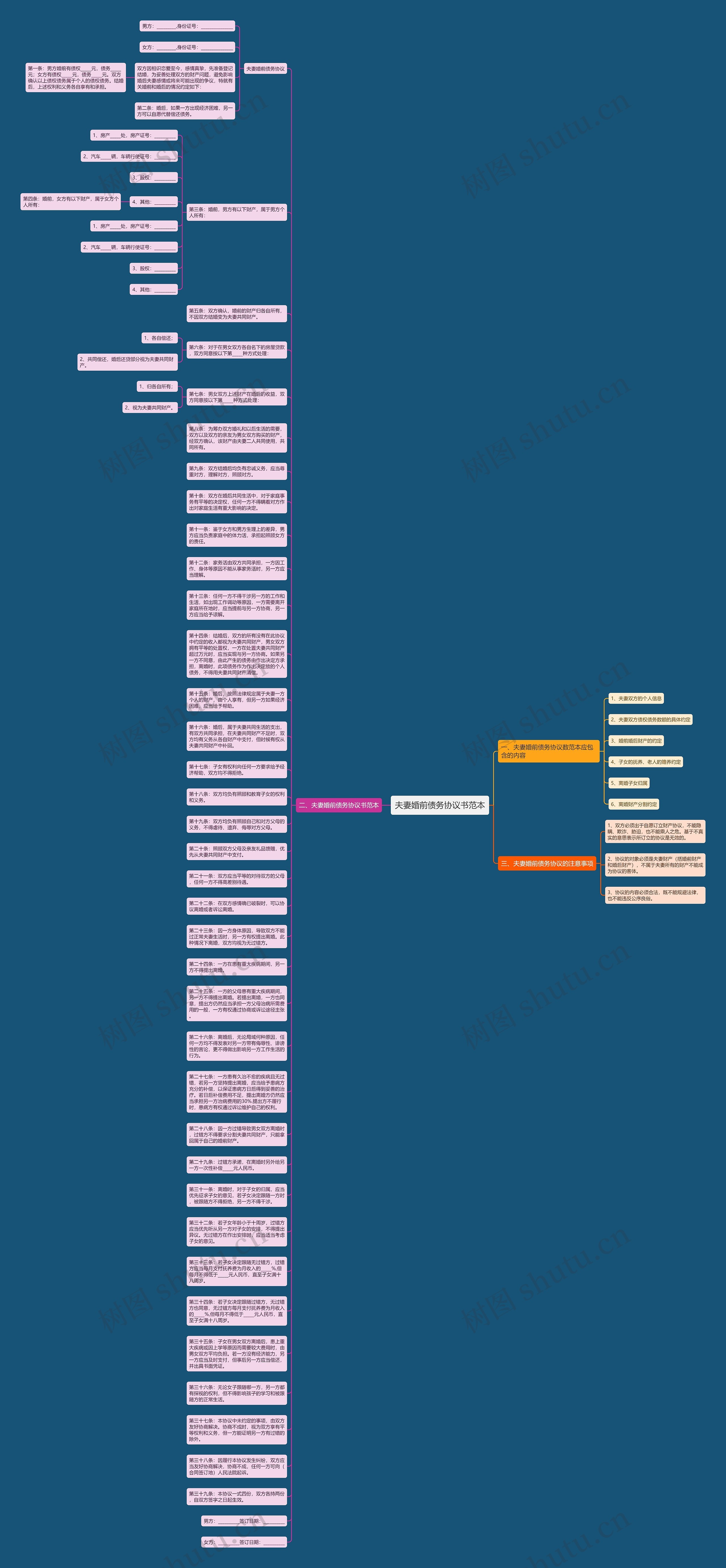 夫妻婚前债务协议书范本思维导图