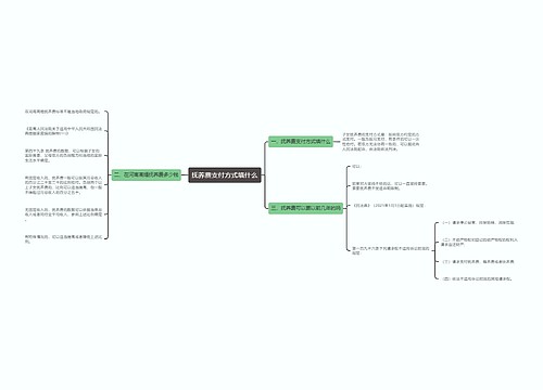 抚养费支付方式填什么