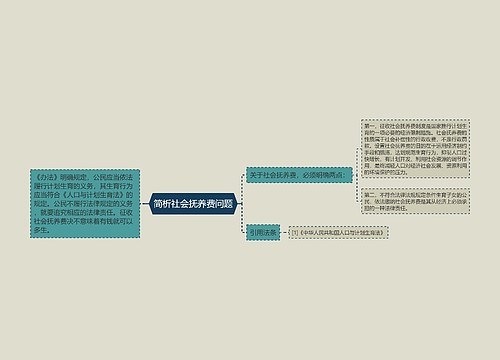 简析社会抚养费问题