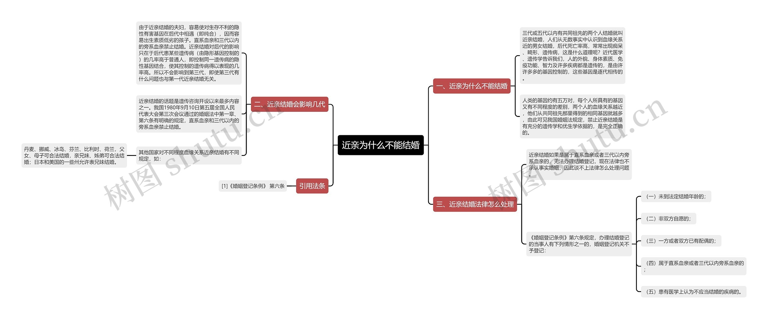 近亲为什么不能结婚思维导图