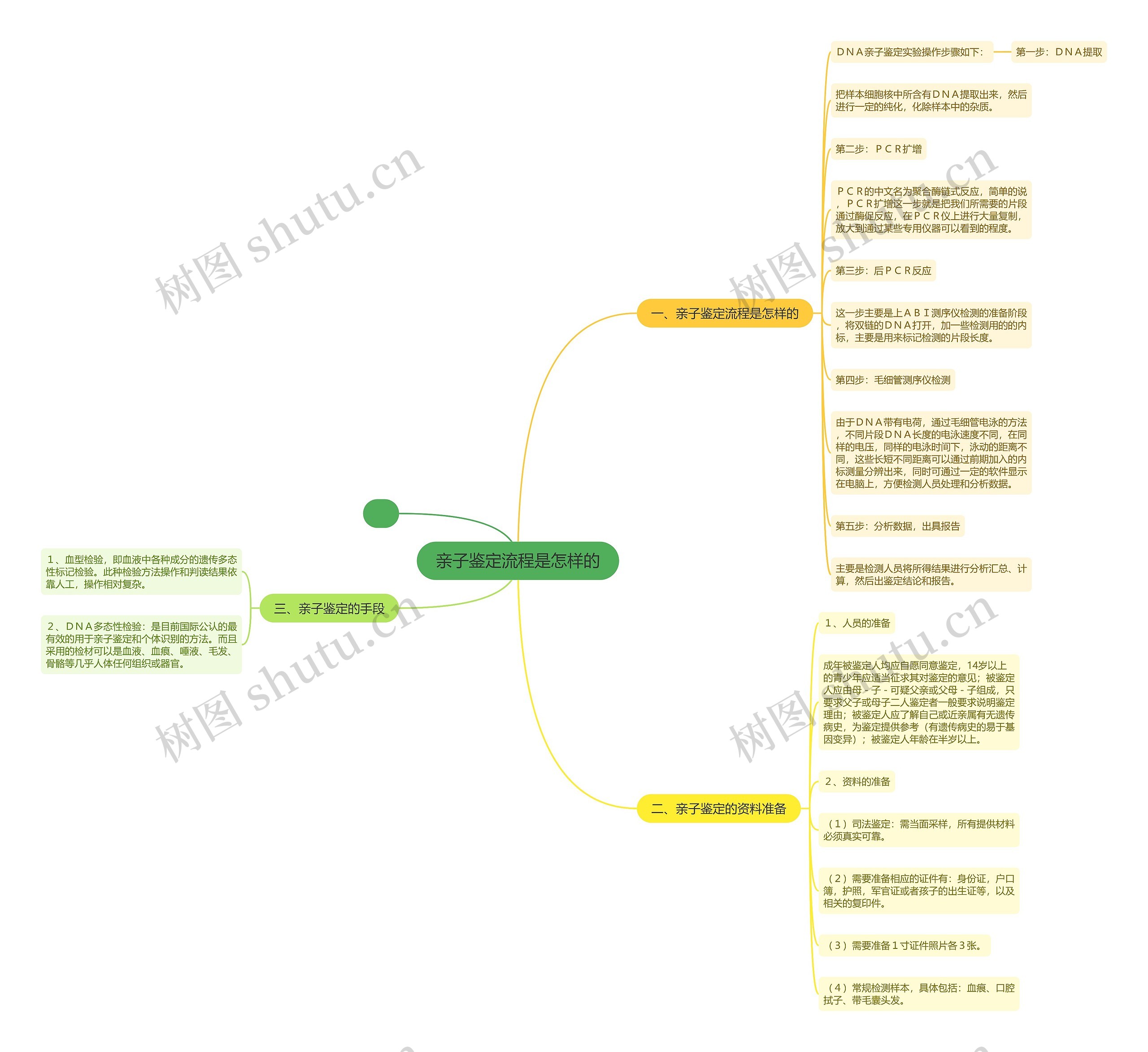 亲子鉴定流程是怎样的思维导图