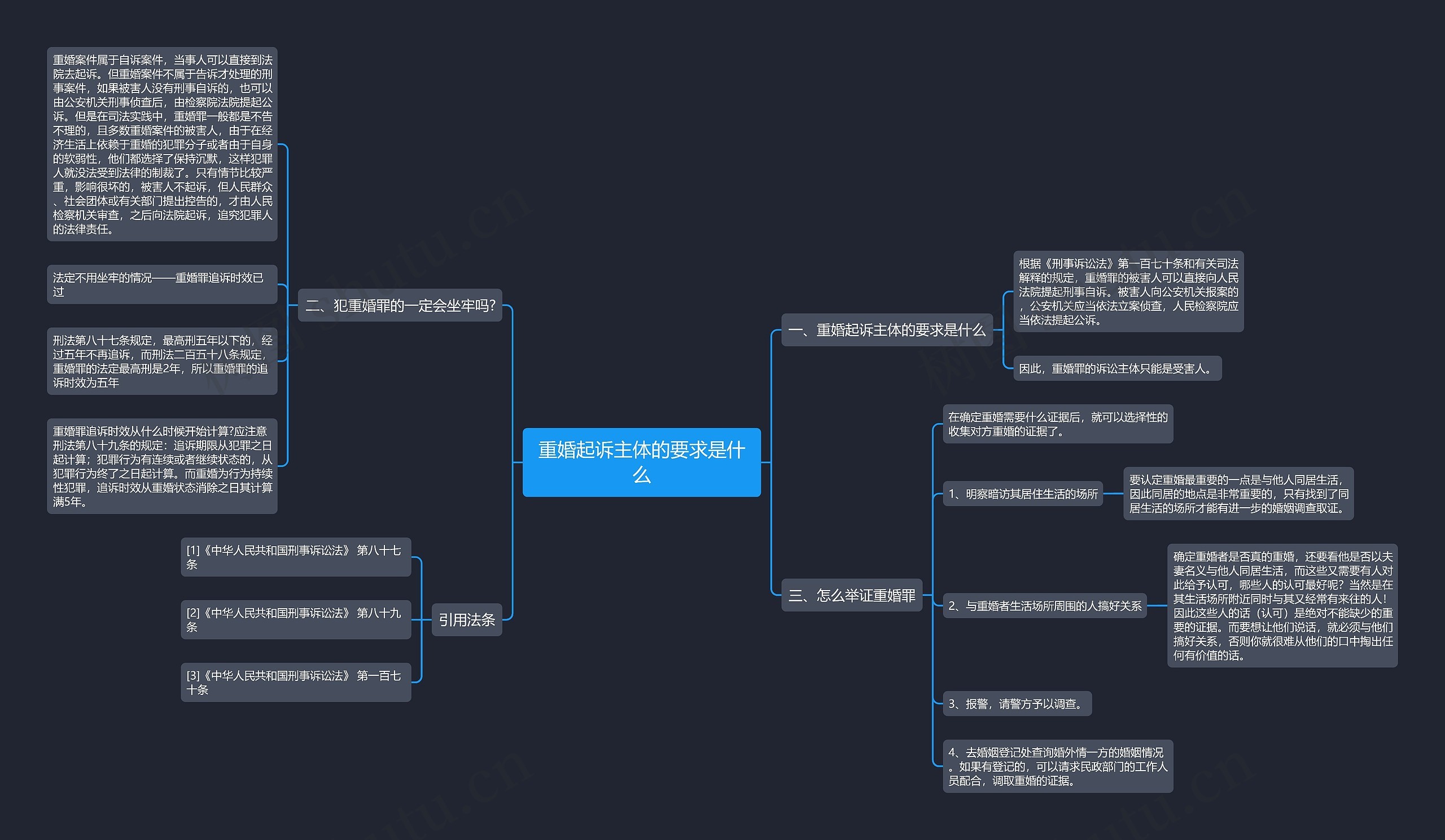重婚起诉主体的要求是什么思维导图