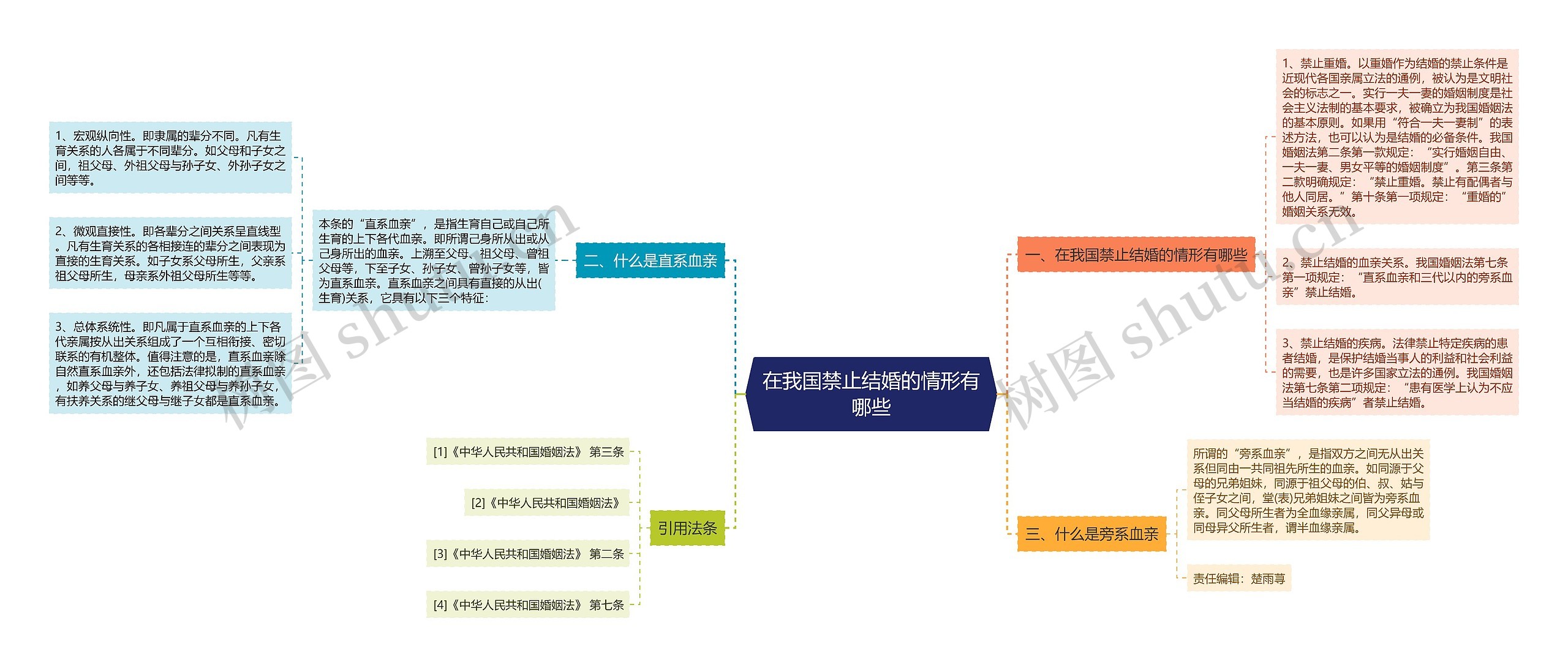 在我国禁止结婚的情形有哪些思维导图