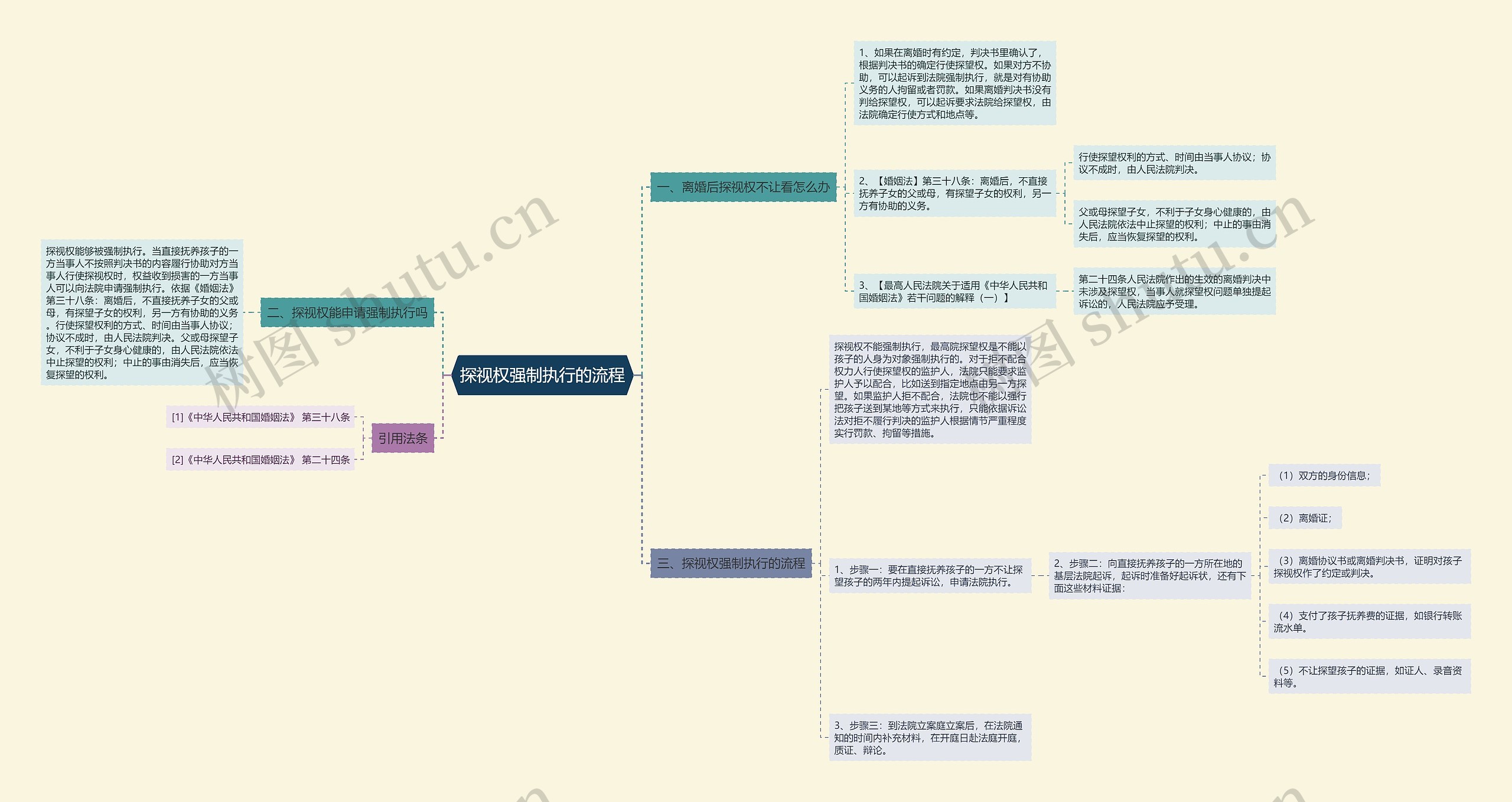 探视权强制执行的流程 探视权强制执行的流程
