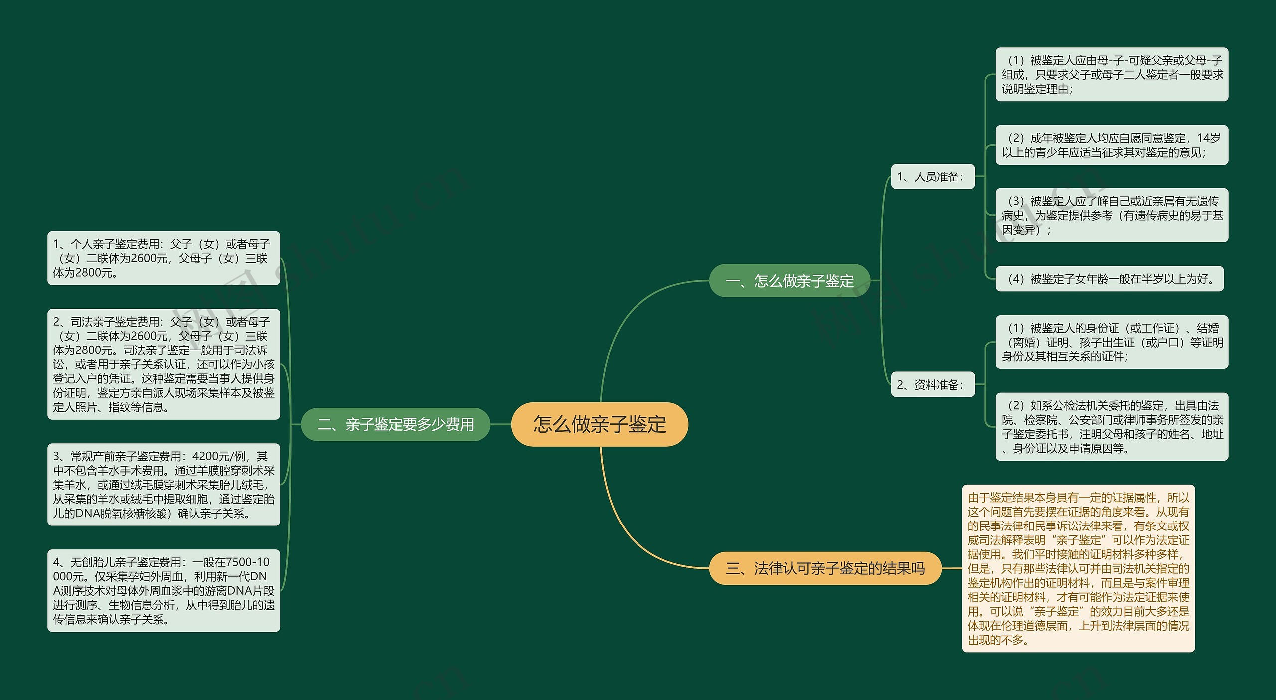 怎么做亲子鉴定思维导图