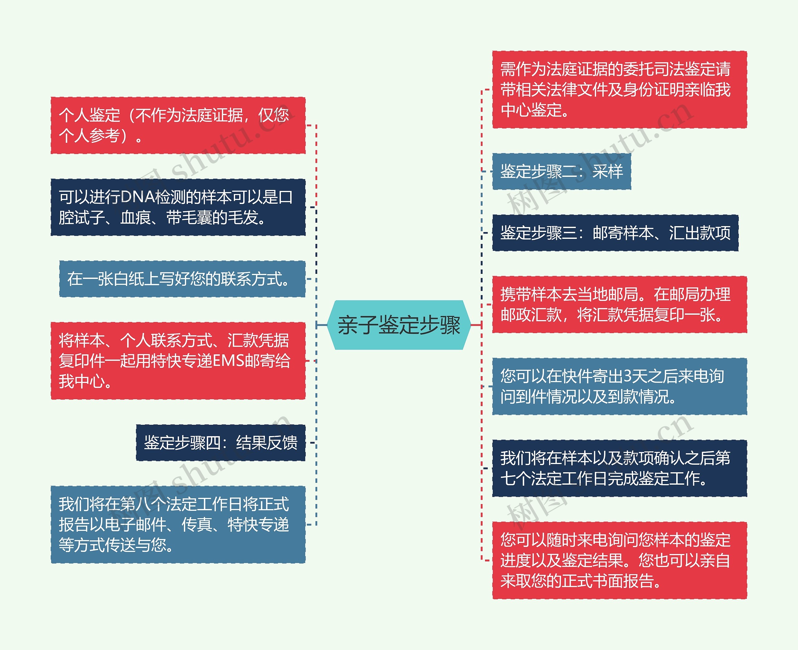 亲子鉴定步骤思维导图