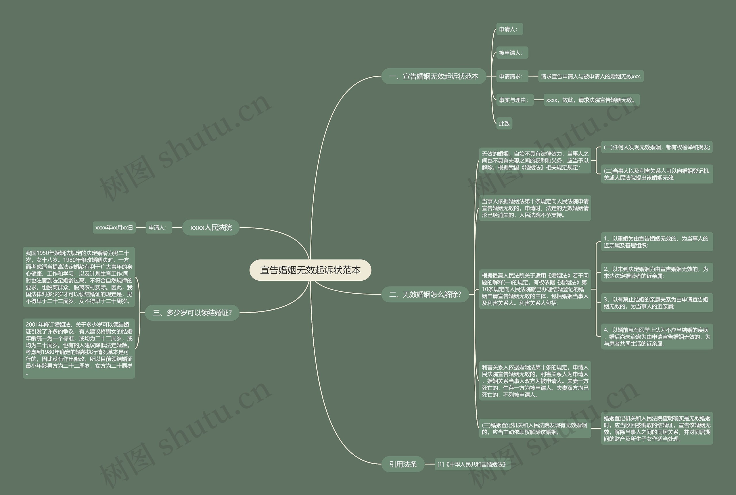 宣告婚姻无效起诉状范本思维导图