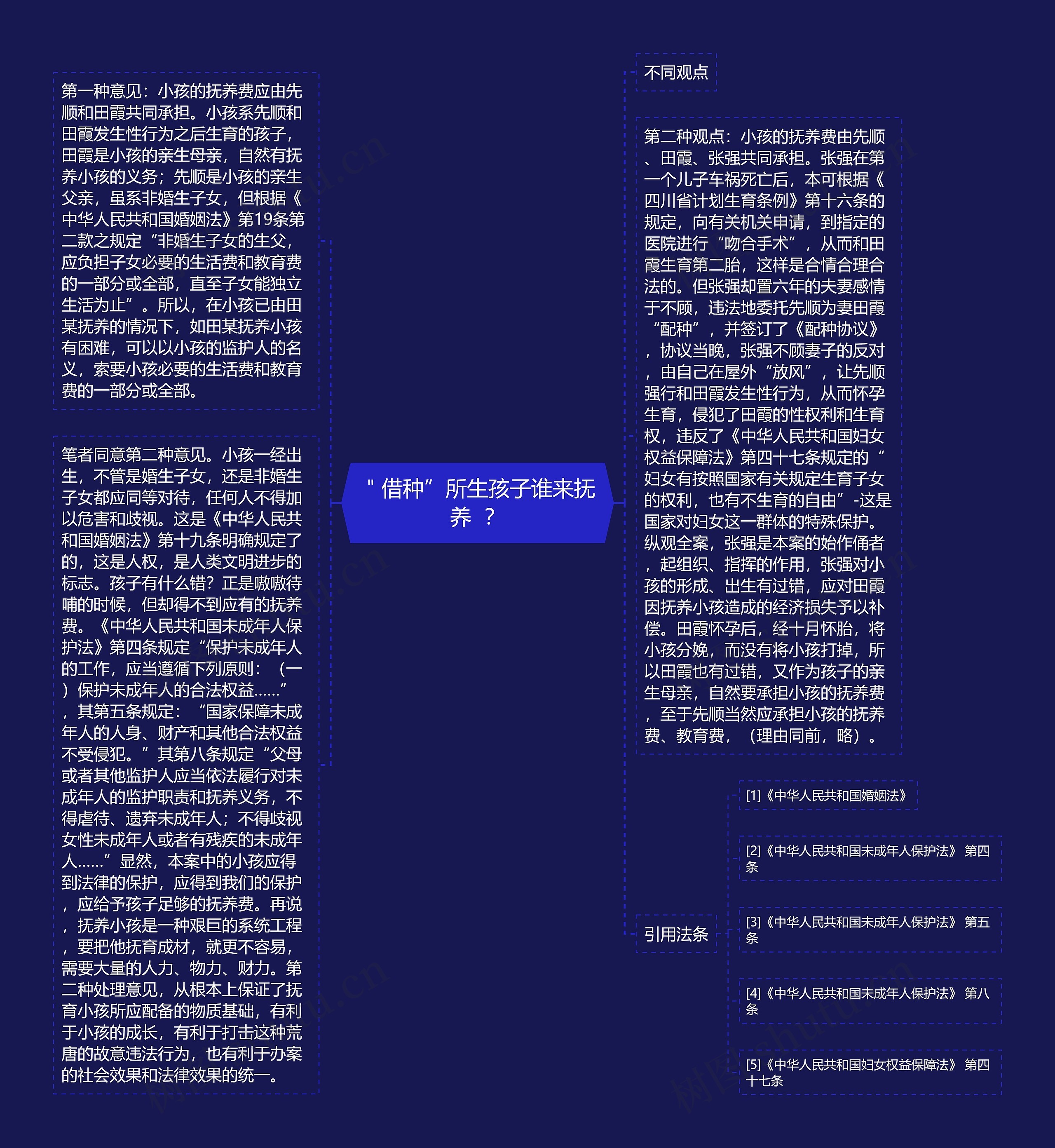 ＂借种”所生孩子谁来抚养  ？思维导图