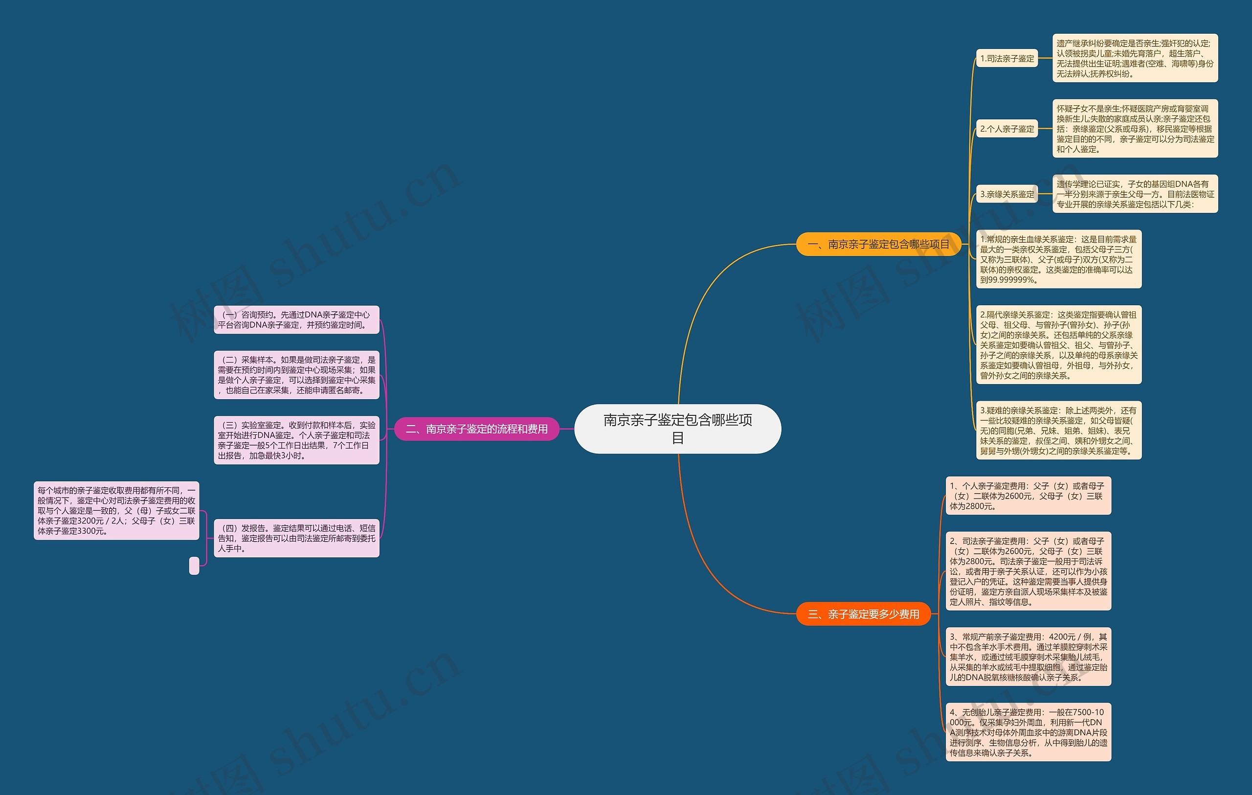 南京亲子鉴定包含哪些项目思维导图