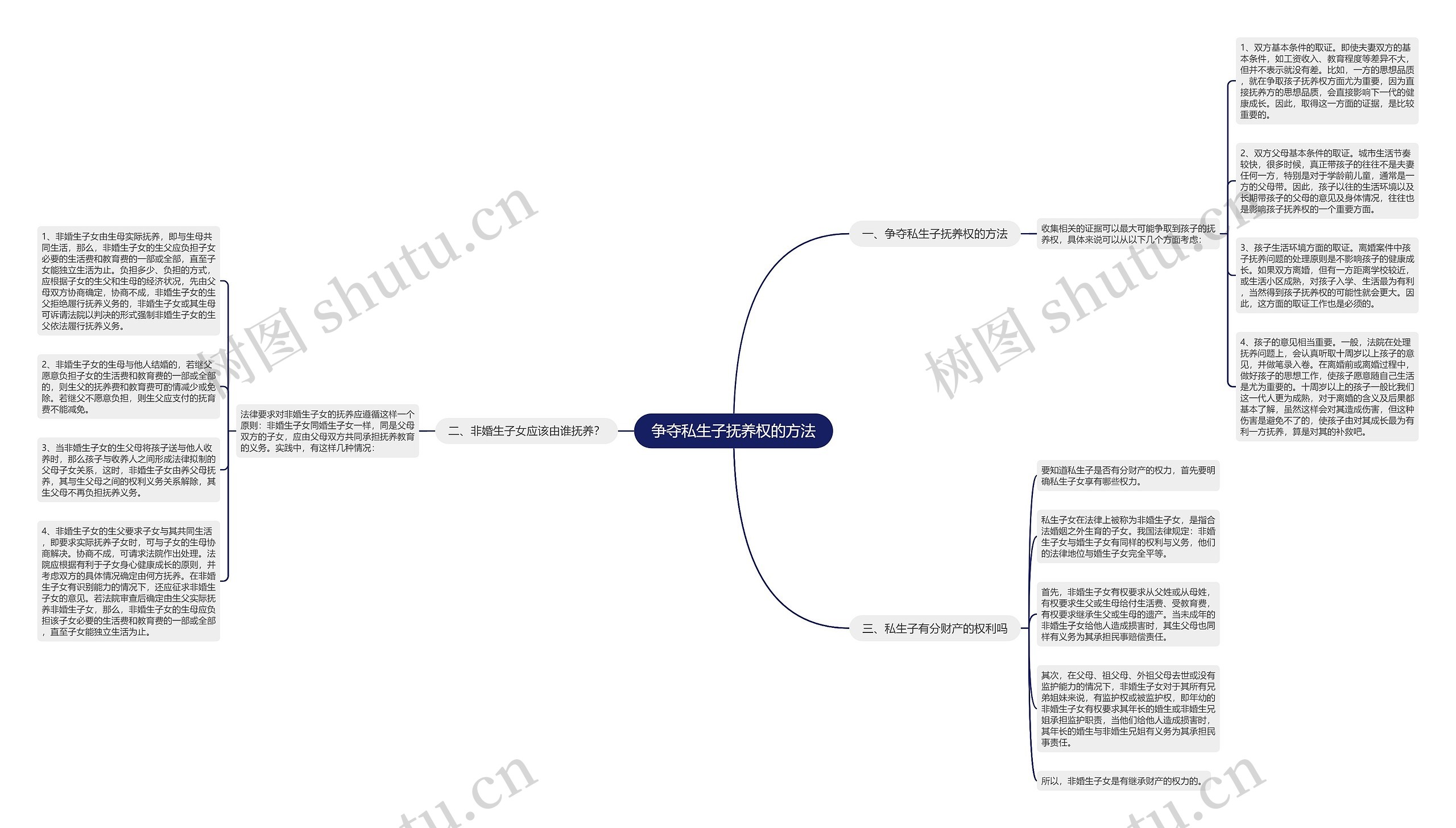 争夺私生子抚养权的方法思维导图