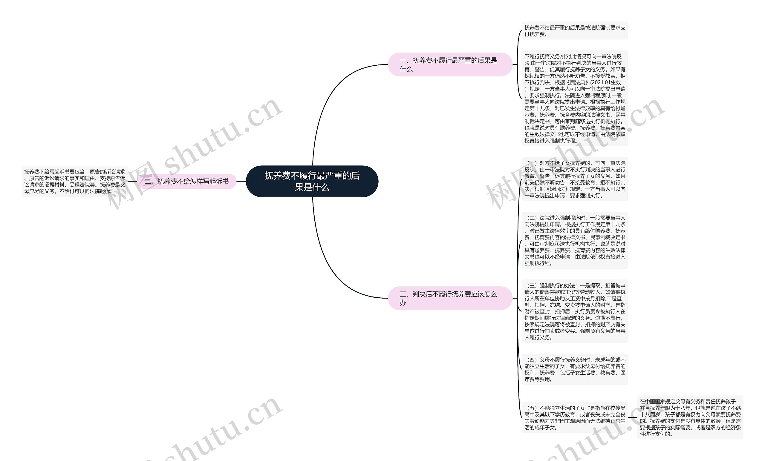 抚养费不履行最严重的后果是什么思维导图