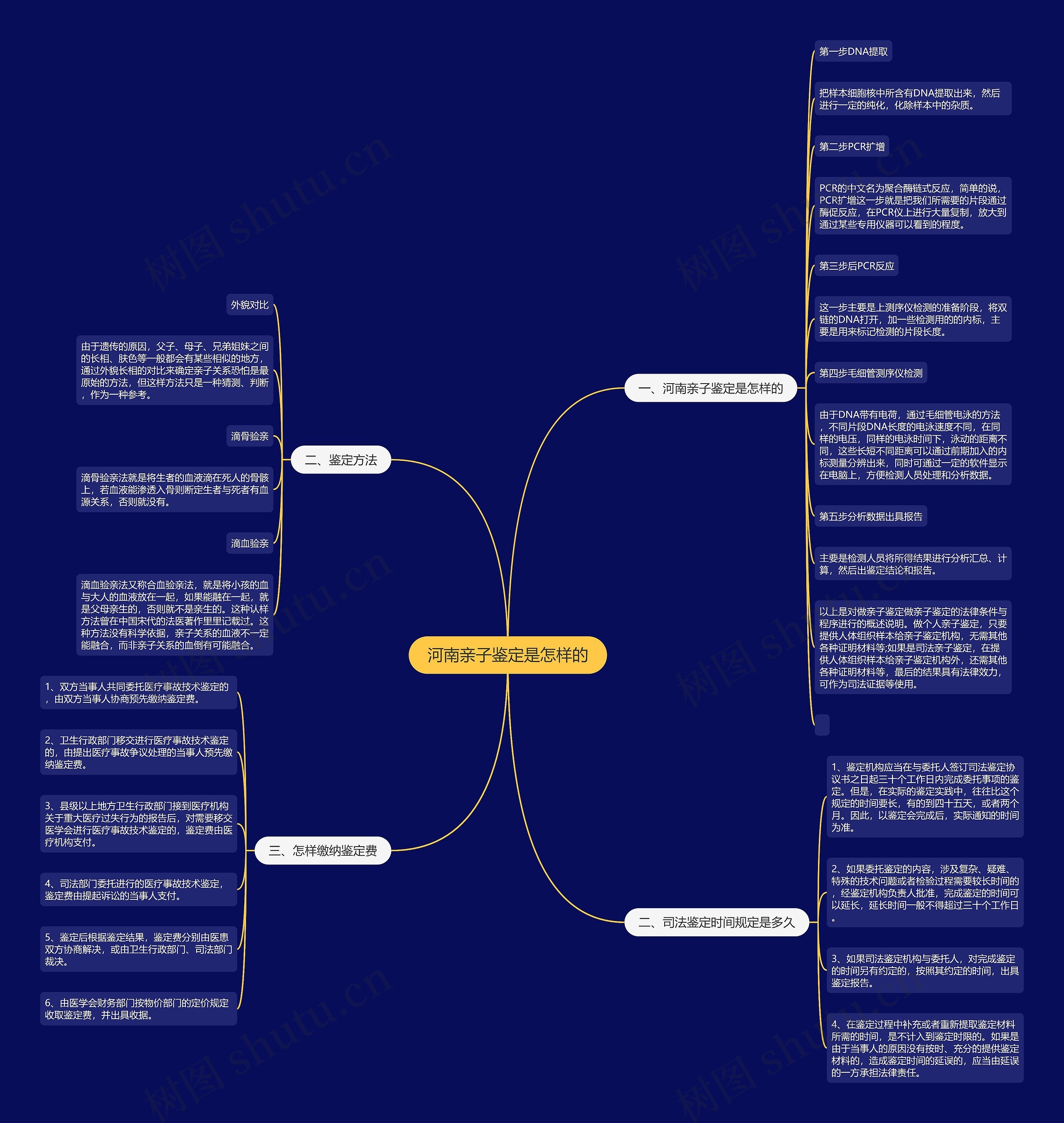 河南亲子鉴定是怎样的思维导图