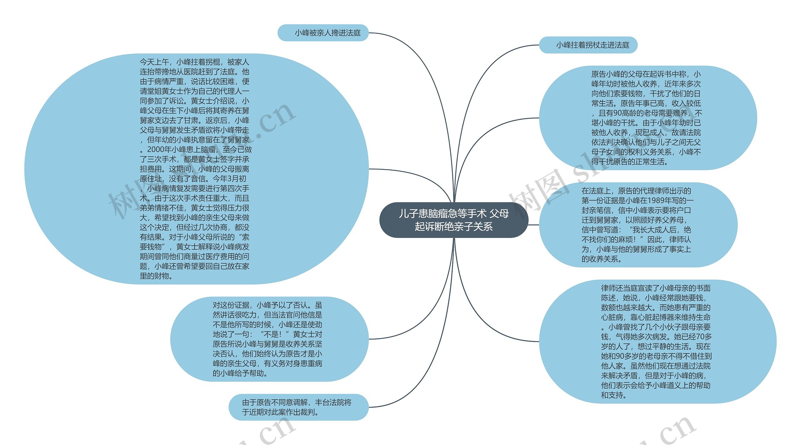 儿子患脑瘤急等手术 父母起诉断绝亲子关系思维导图