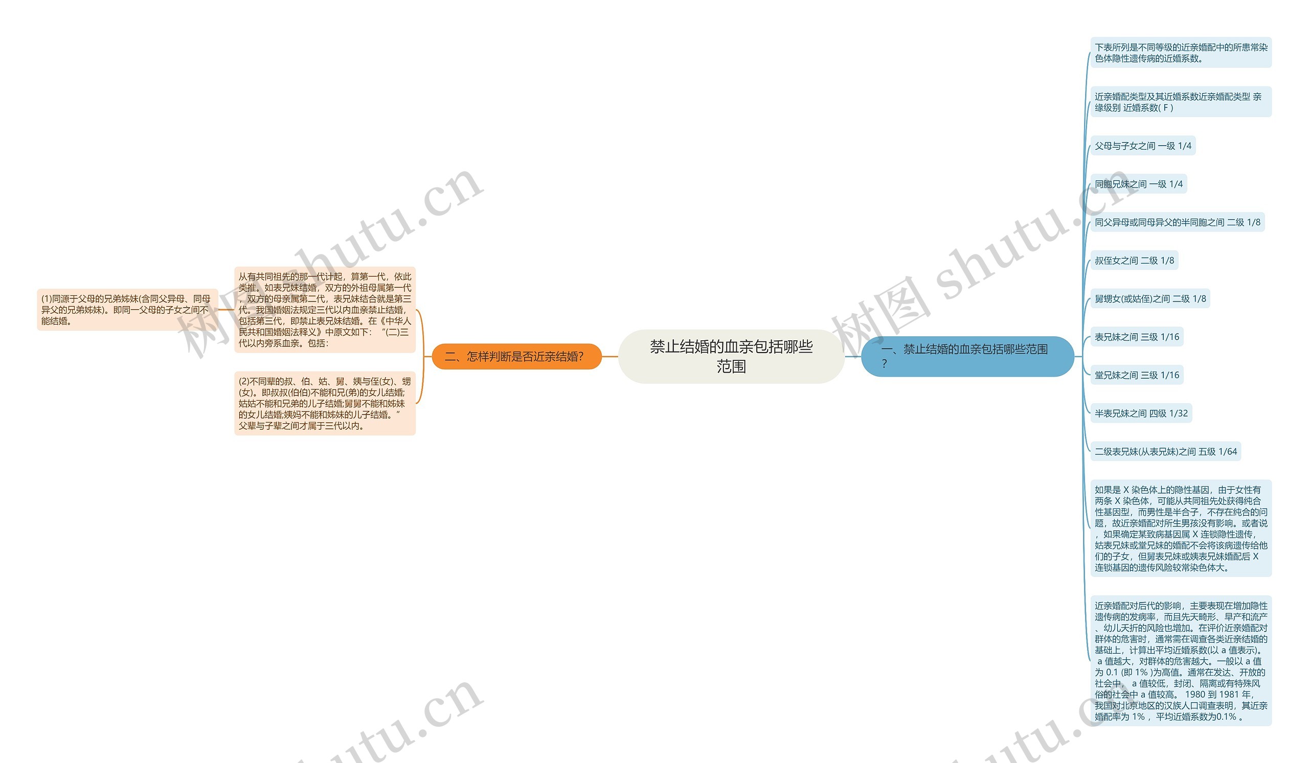 禁止结婚的血亲包括哪些范围思维导图